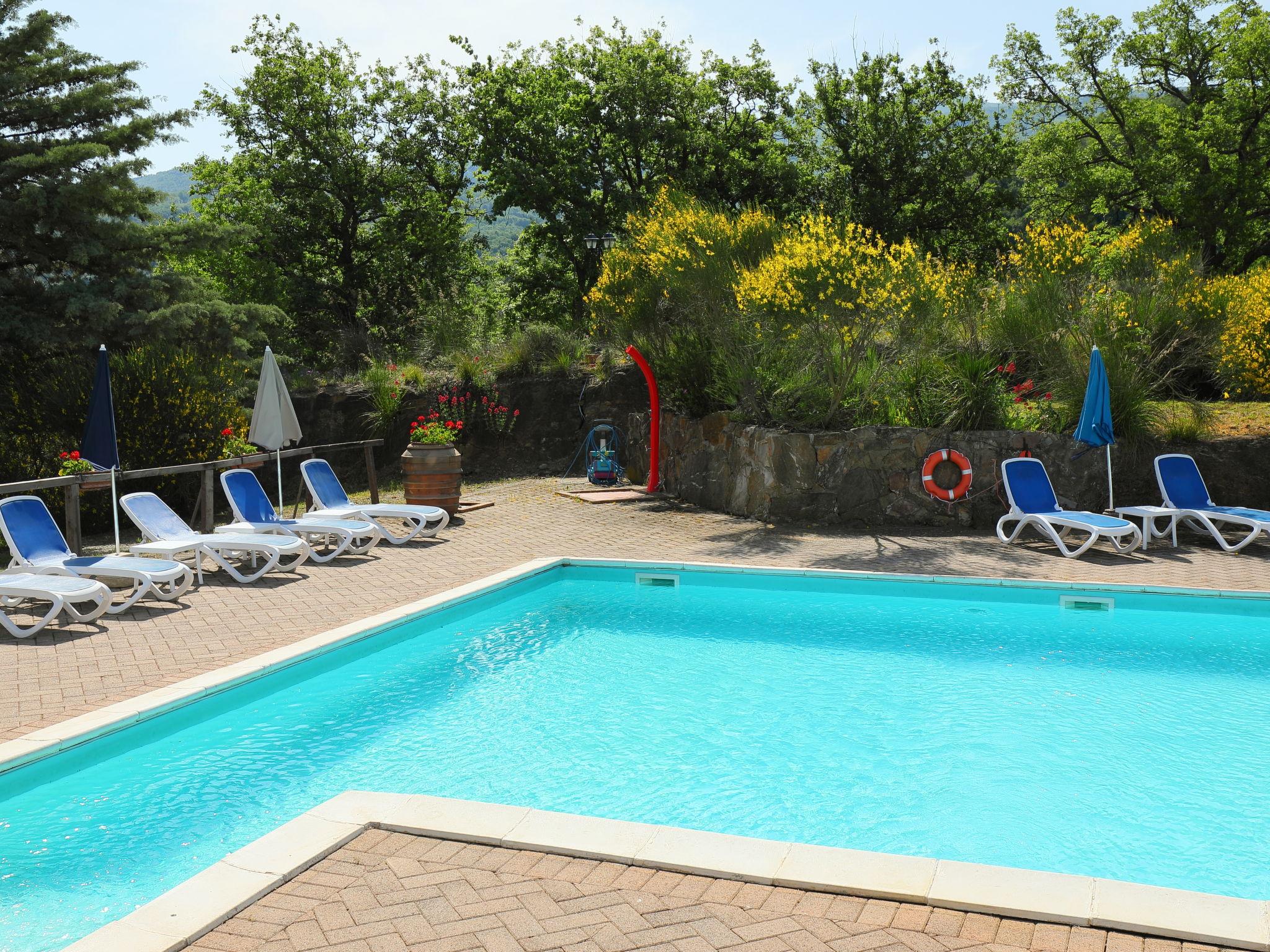 Foto 44 - Haus mit 6 Schlafzimmern in Seggiano mit privater pool und terrasse