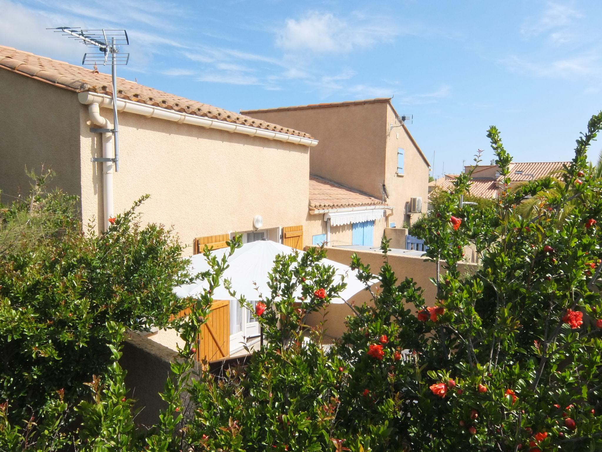 Photo 12 - 1 bedroom House in Saint-Cyprien with terrace and sea view