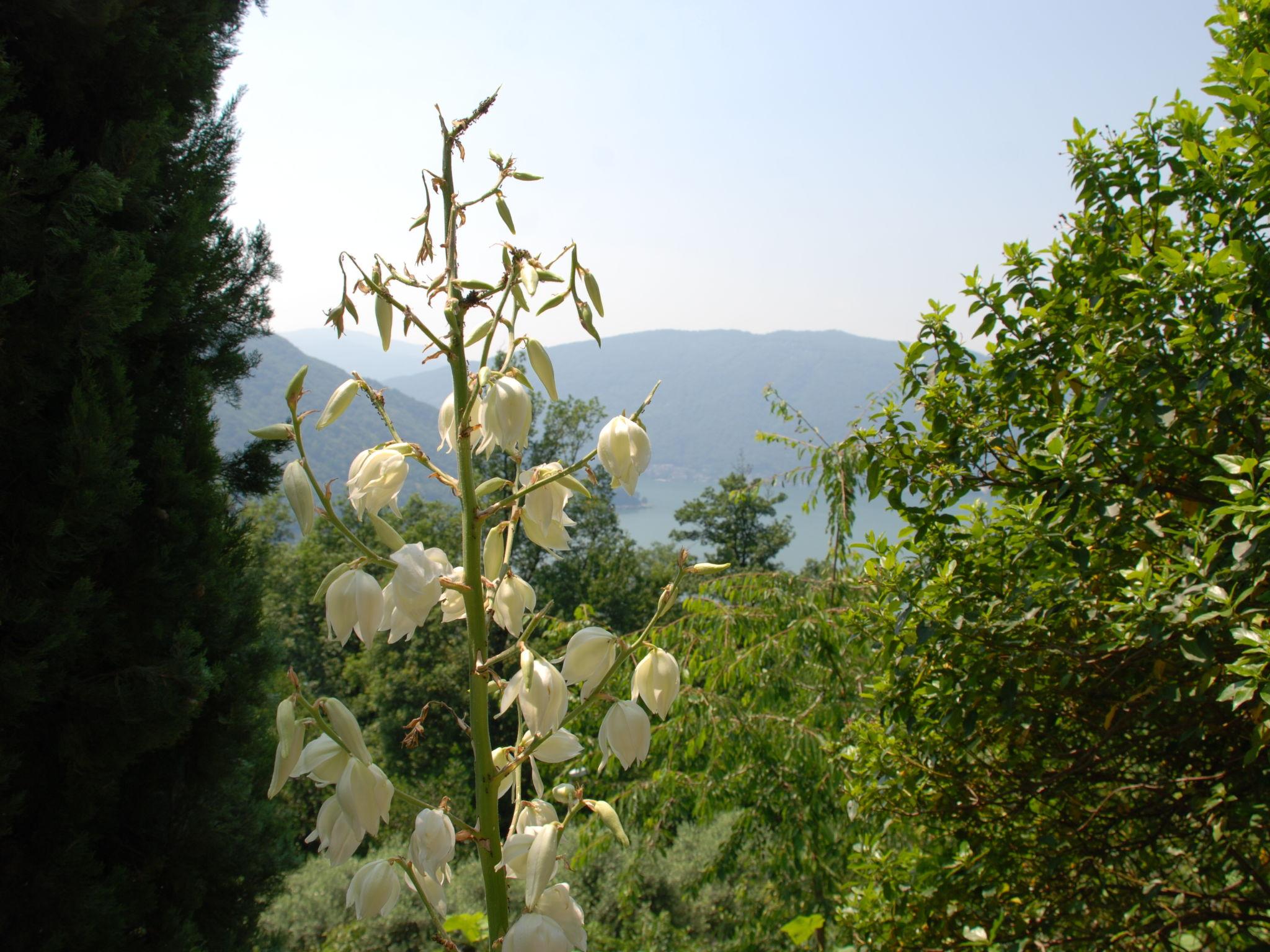 Photo 11 - Appartement en Rovio avec jardin et vues sur la montagne