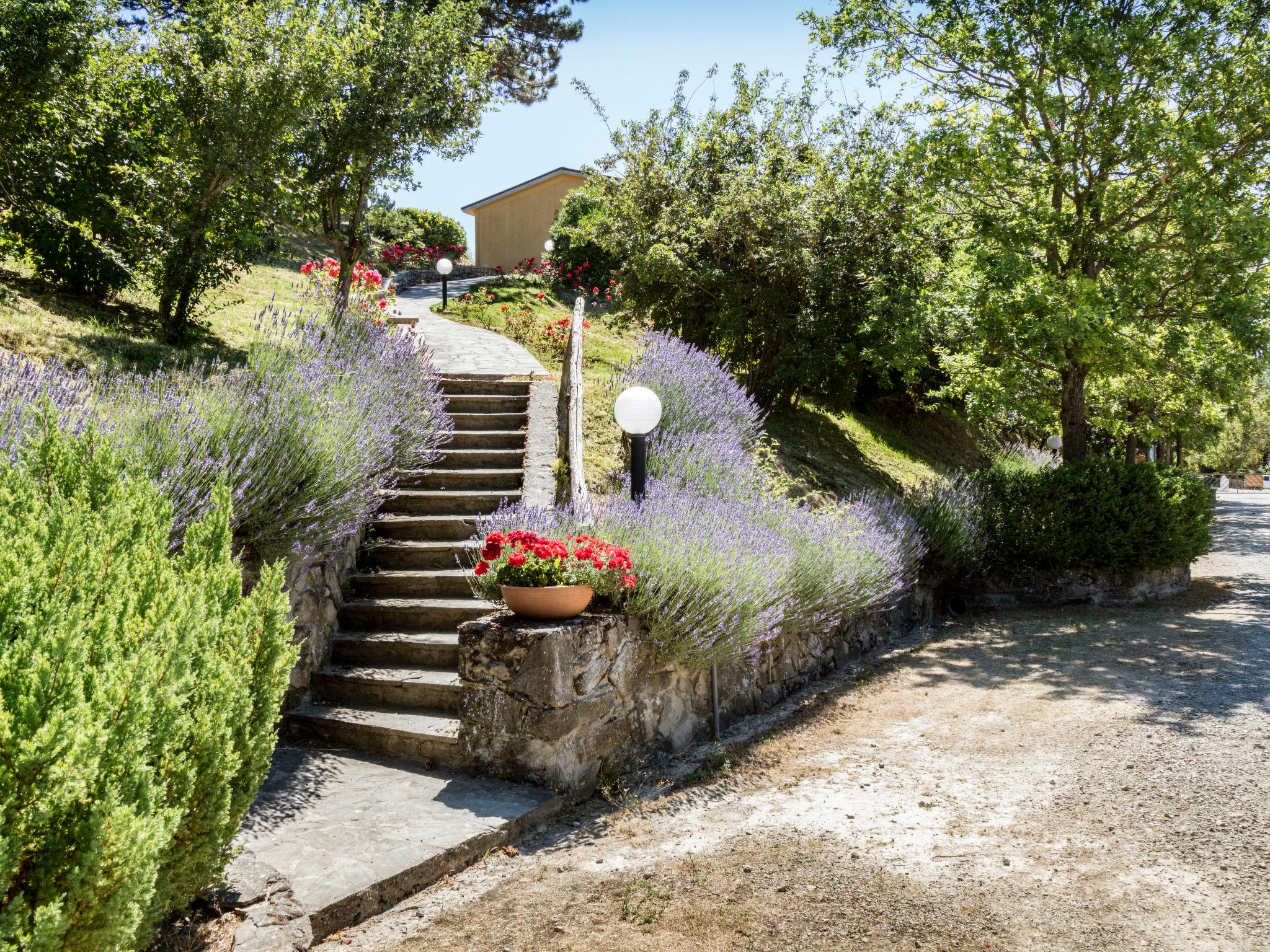 Foto 16 - Appartamento con 2 camere da letto a Palazzuolo sul Senio con piscina e giardino