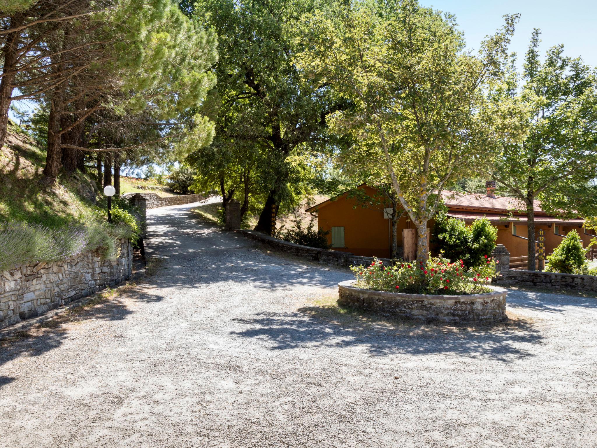 Foto 20 - Apartamento de 2 habitaciones en Palazzuolo sul Senio con piscina y jardín