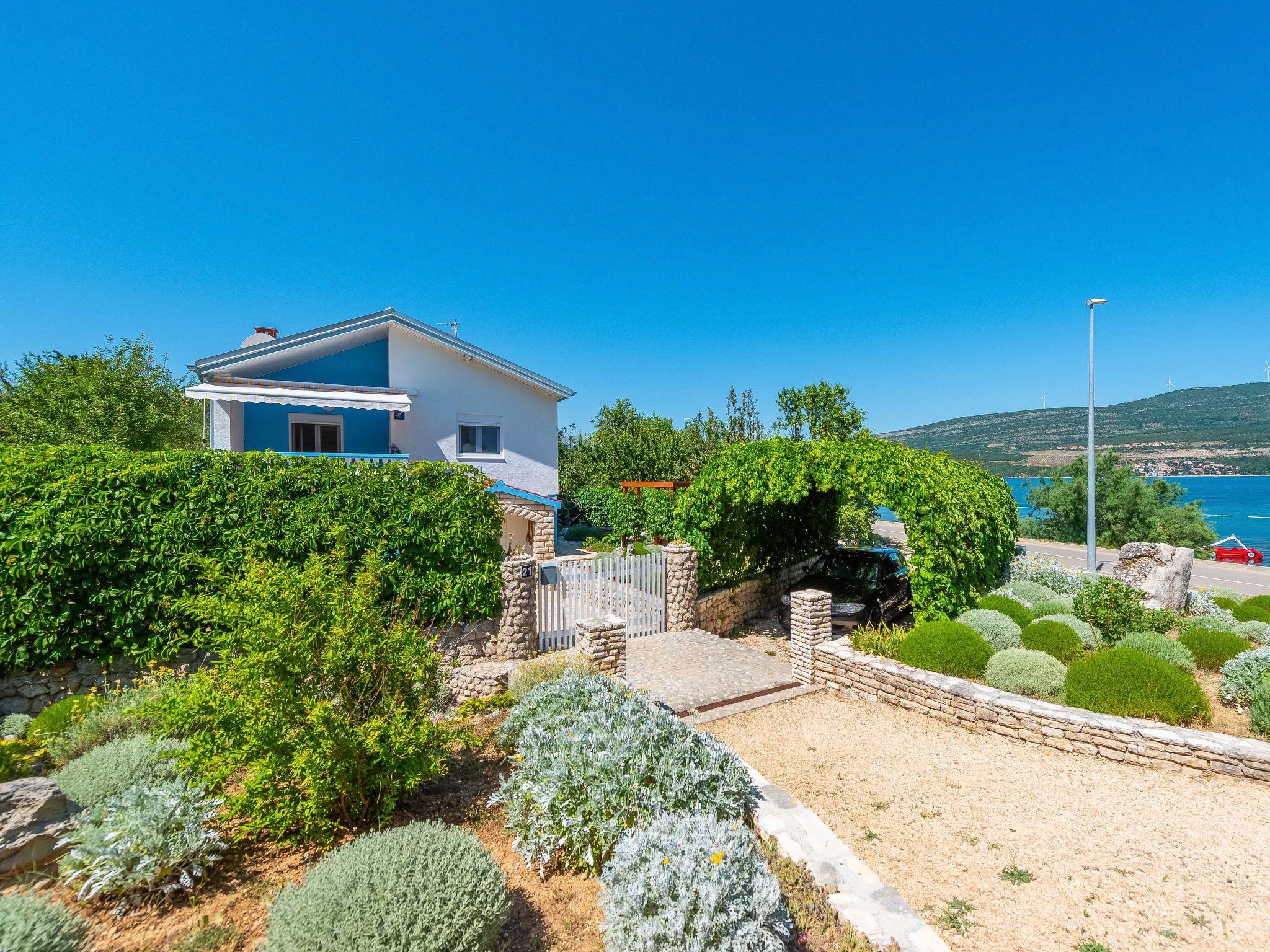 Photo 1 - Maison de 3 chambres à Novigrad avec jardin et terrasse