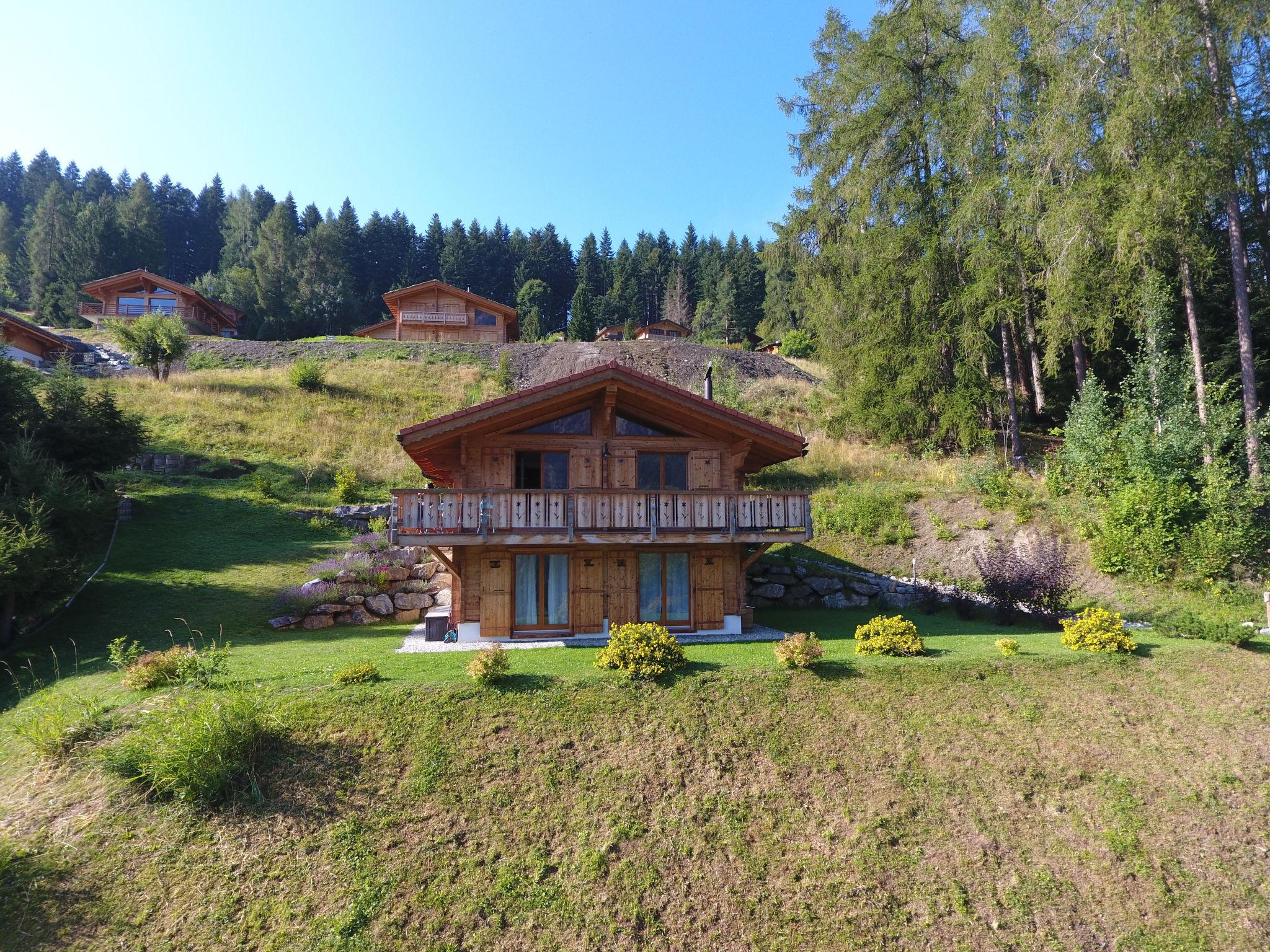 Foto 6 - Casa de 3 quartos em Chamoson com jardim e terraço