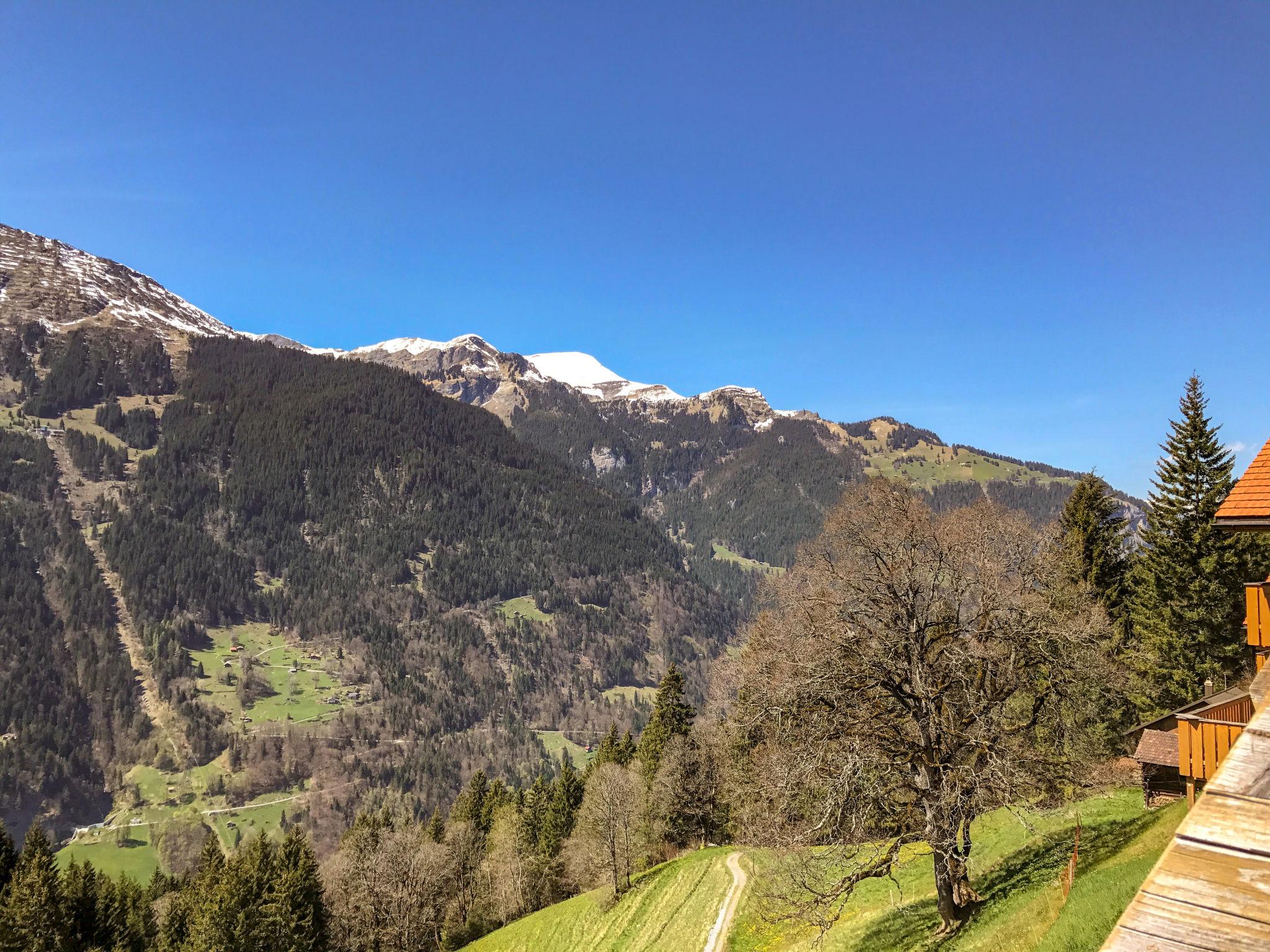 Foto 19 - Apartamento de 3 quartos em Lauterbrunnen com vista para a montanha