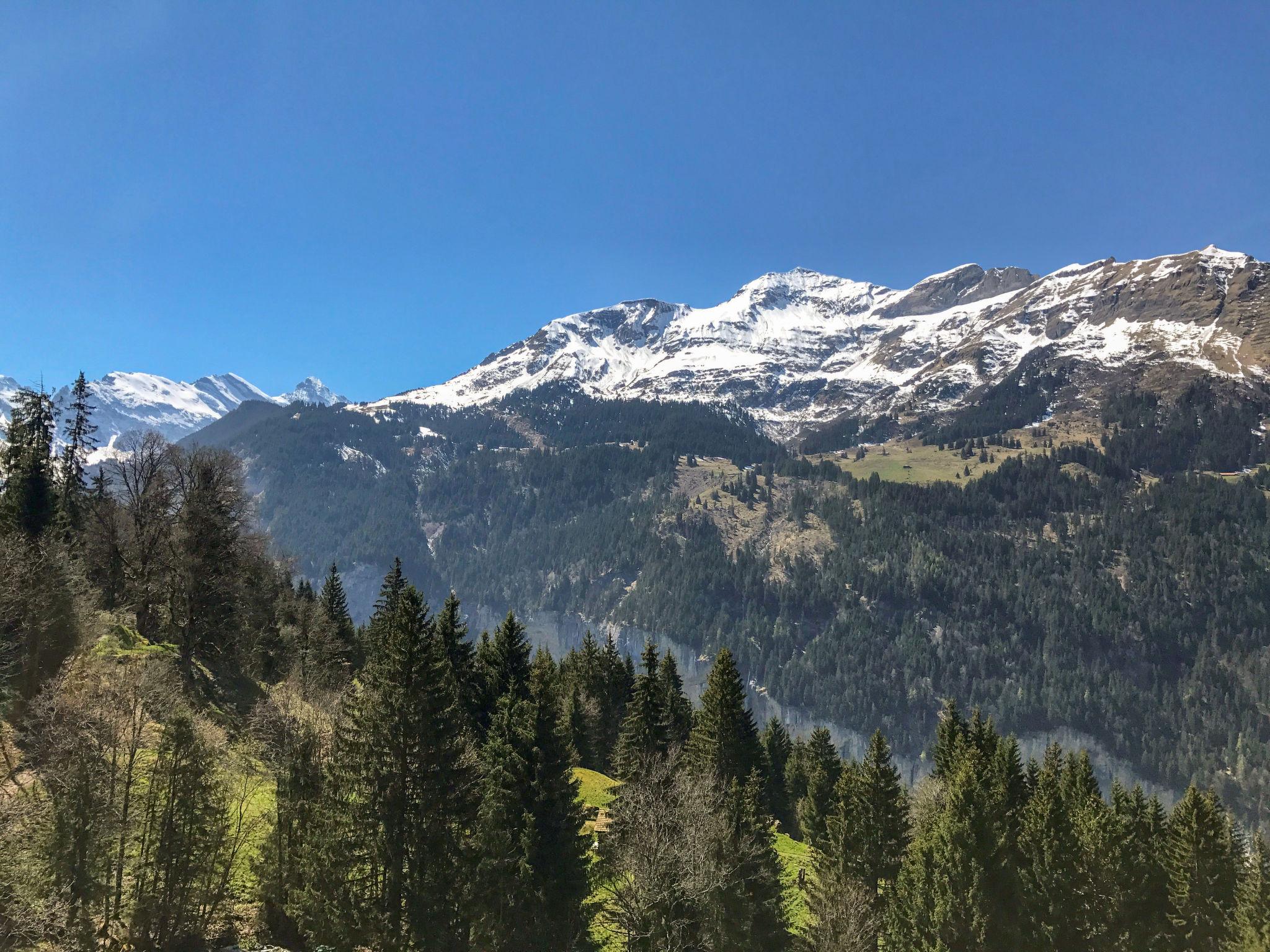 Foto 20 - Apartamento de 4 quartos em Lauterbrunnen com jardim