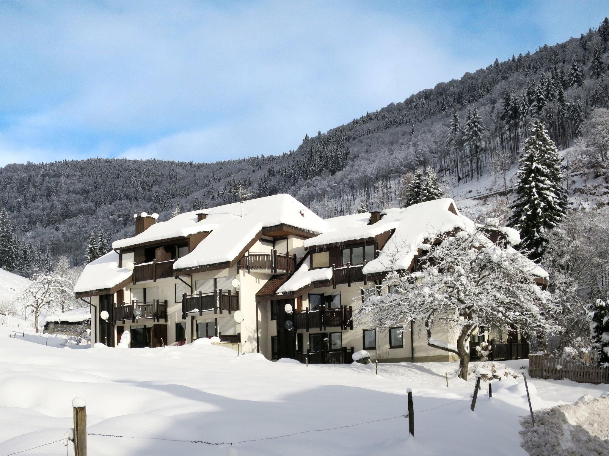 Foto 43 - Apartamento de 2 quartos em Todtnau com terraço e vista para a montanha