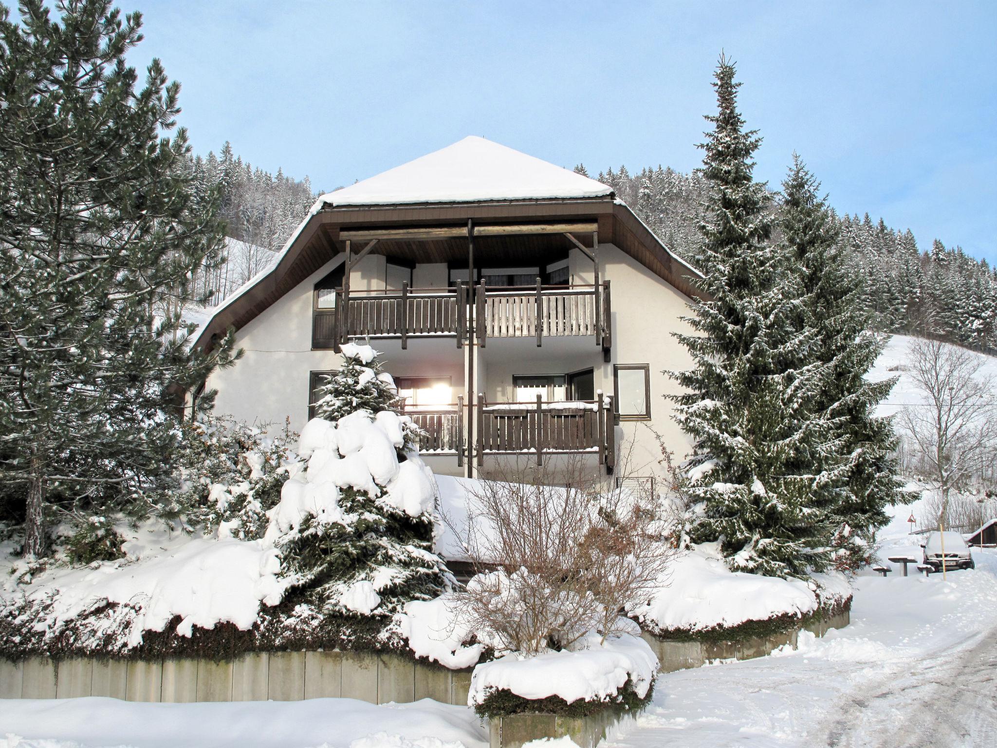 Foto 44 - Apartment mit 2 Schlafzimmern in Todtnau mit terrasse und blick auf die berge