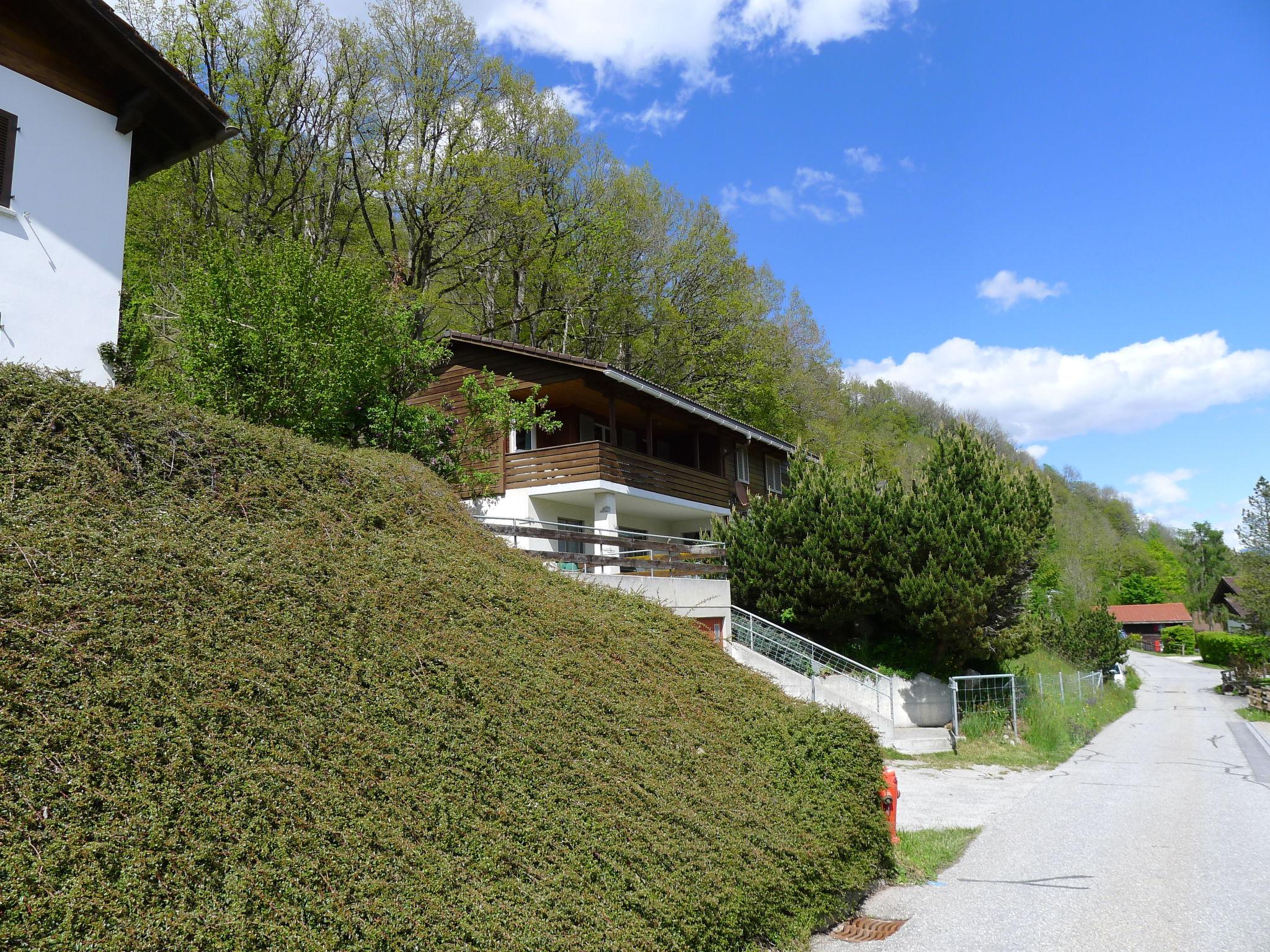 Photo 27 - 3 bedroom Apartment in Ilanz/Glion with garden and mountain view