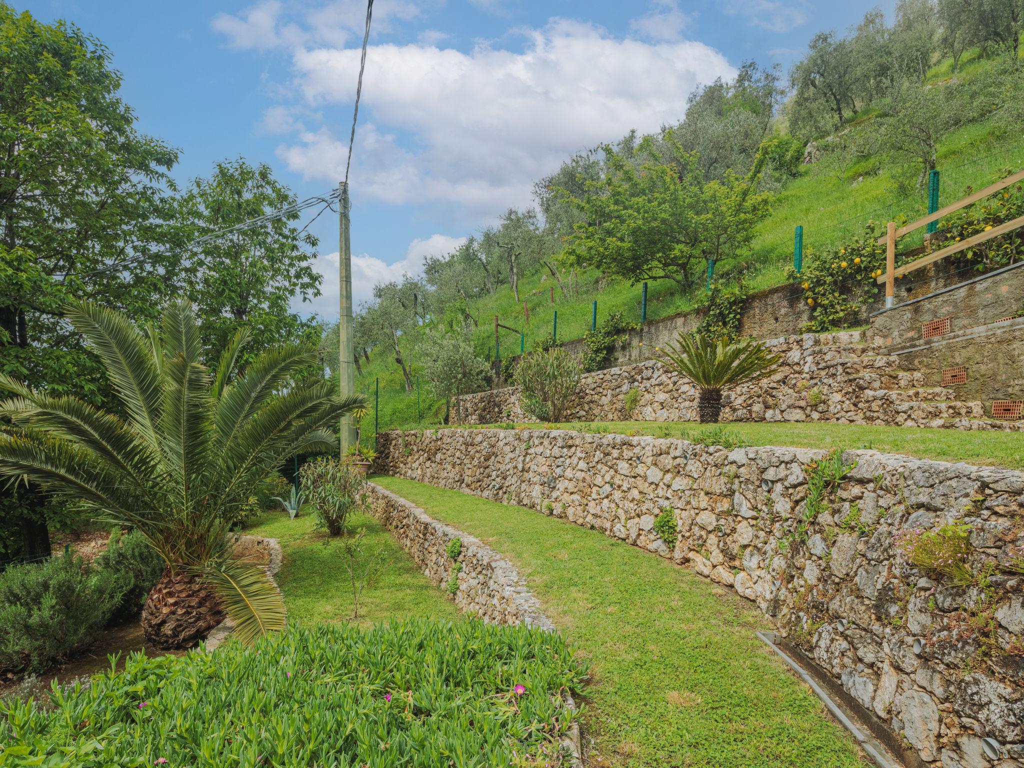 Photo 27 - Maison de 2 chambres à Camaiore avec jardin et terrasse