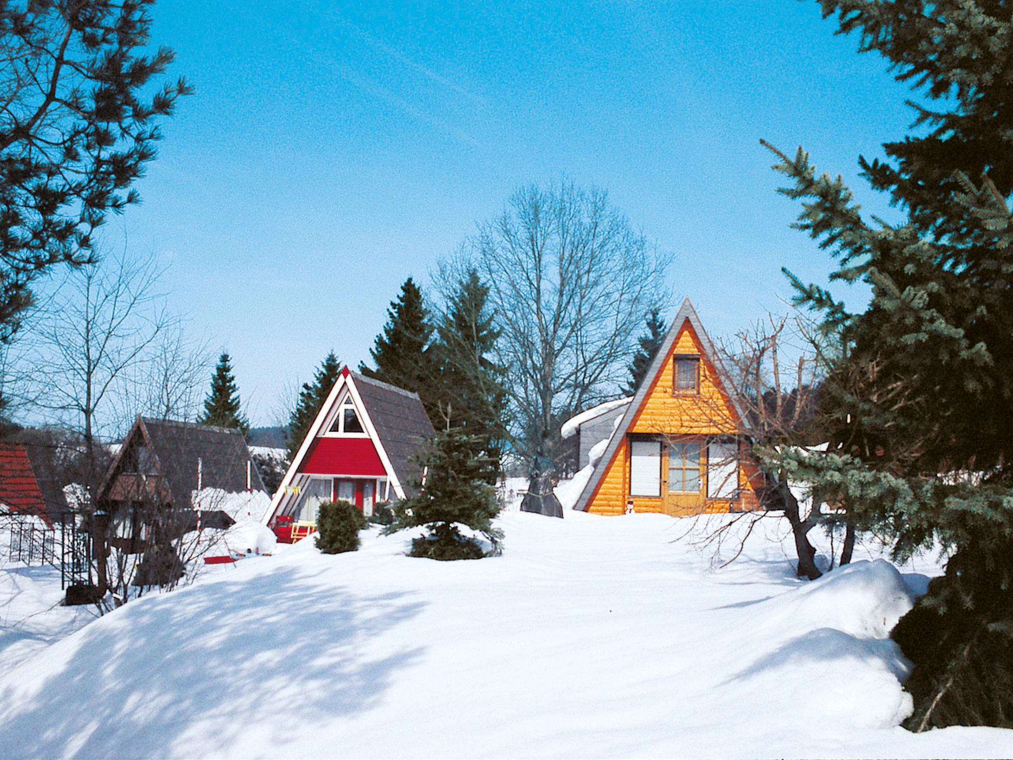 Photo 20 - Maison de 2 chambres à Waldkirchen avec terrasse et vues sur la montagne