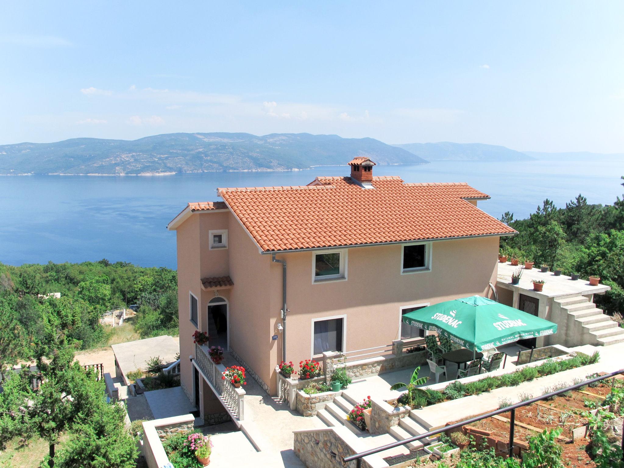 Foto 1 - Appartamento con 2 camere da letto a Kršan con terrazza e vista mare