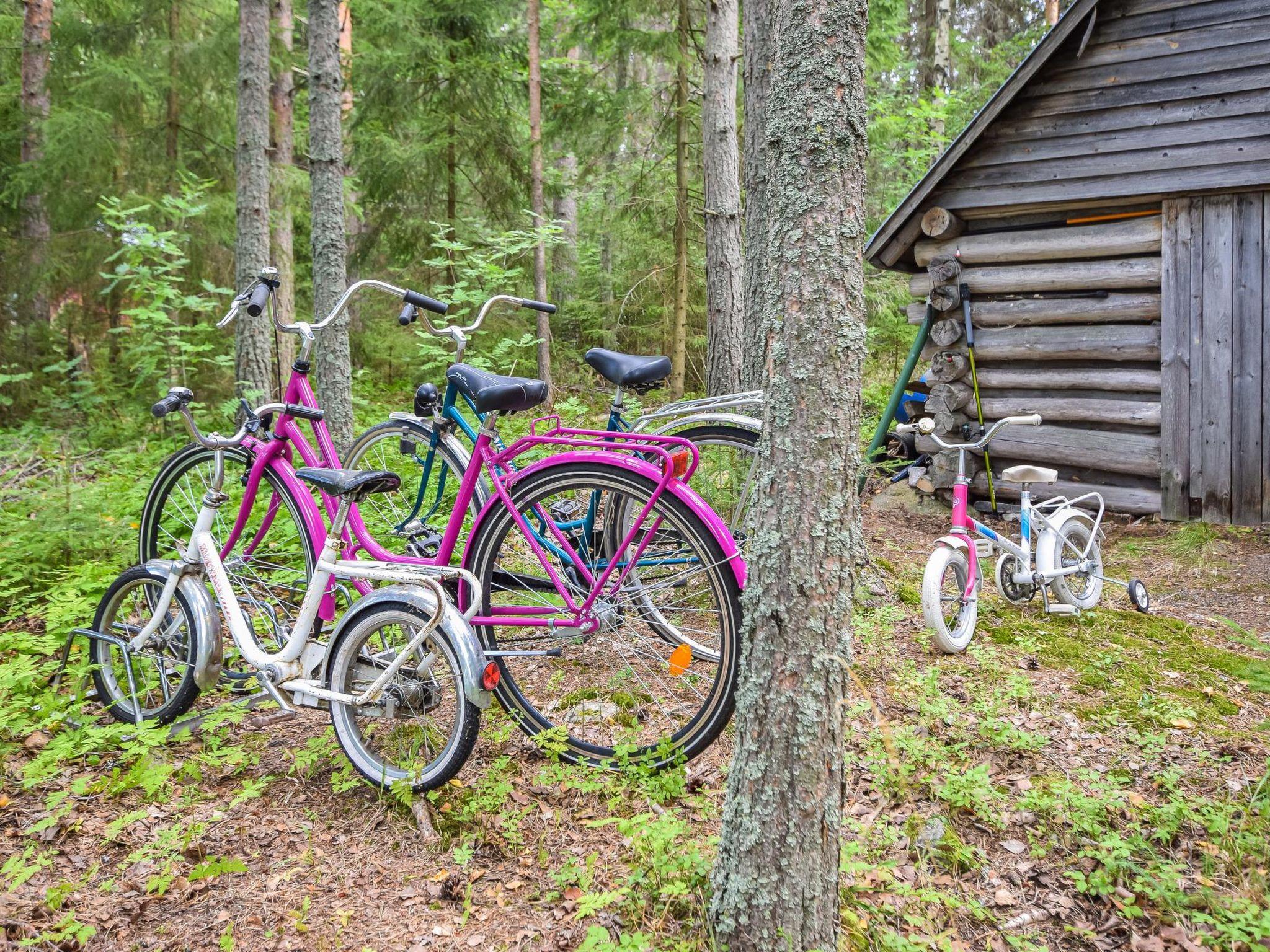 Foto 19 - Haus mit 2 Schlafzimmern in Hankasalmi mit sauna