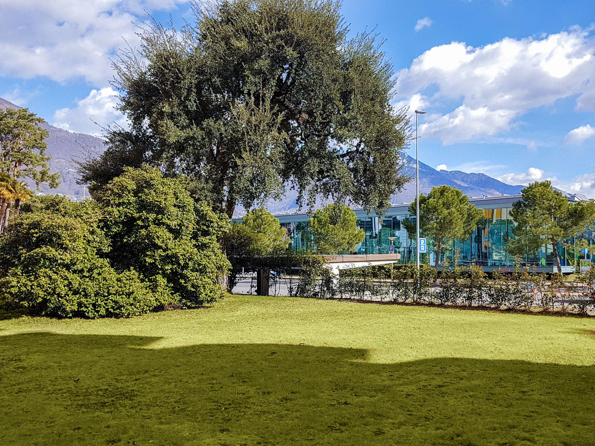 Photo 8 - Apartment in Locarno with terrace and mountain view