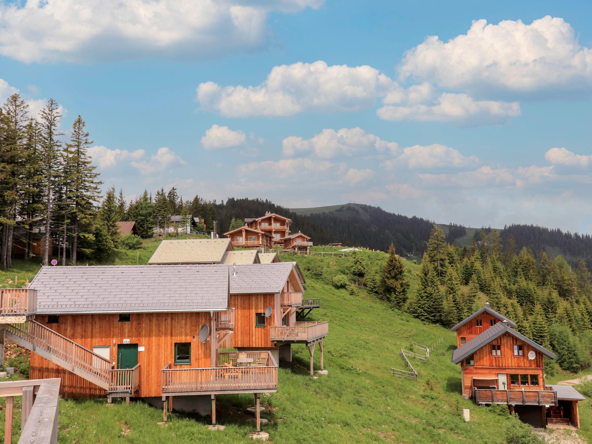 Photo 29 - 4 bedroom House in Bad Sankt Leonhard im Lavanttal with terrace and mountain view