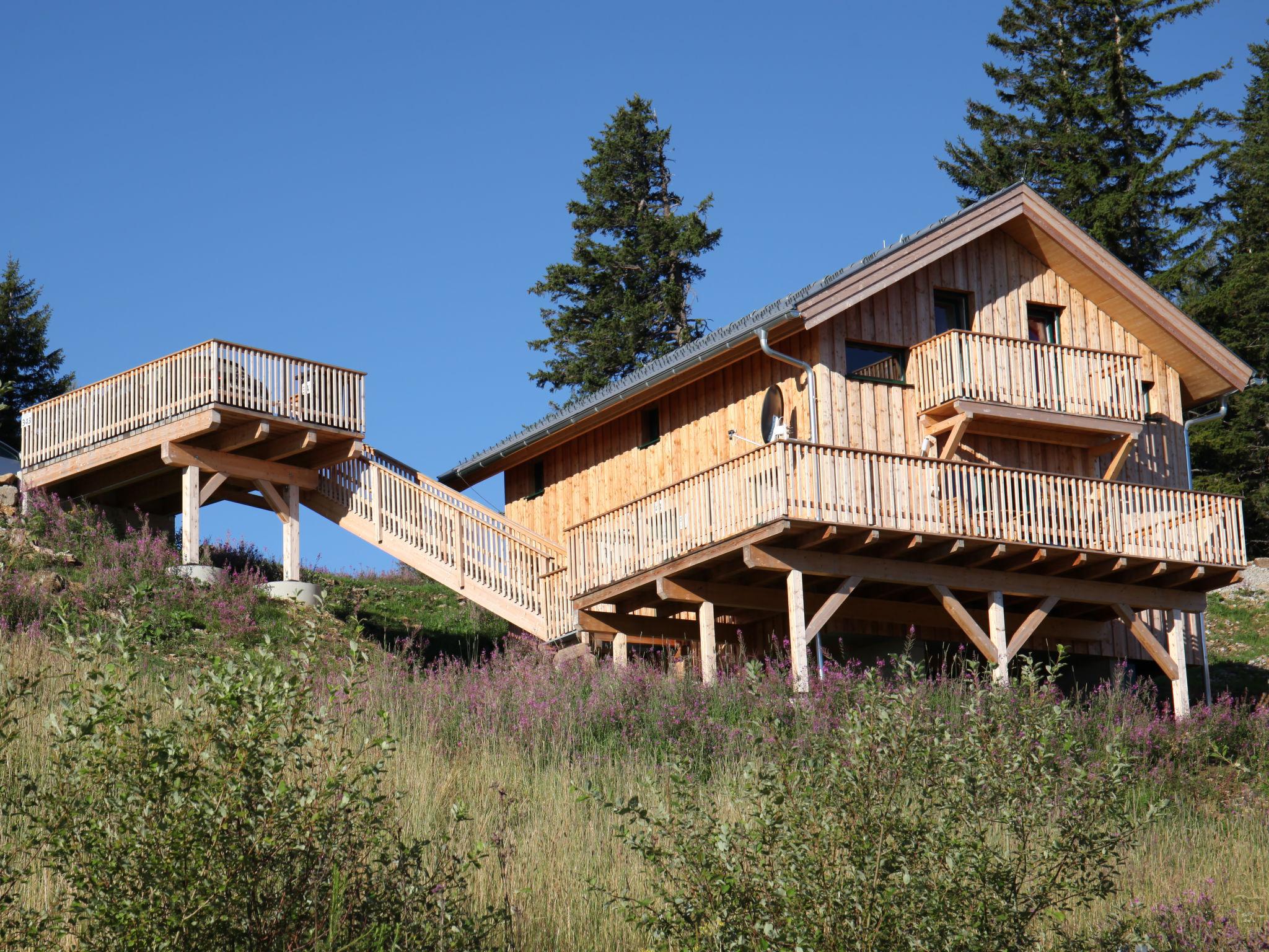 Photo 1 - Maison de 4 chambres à Bad Sankt Leonhard im Lavanttal avec terrasse et vues sur la montagne