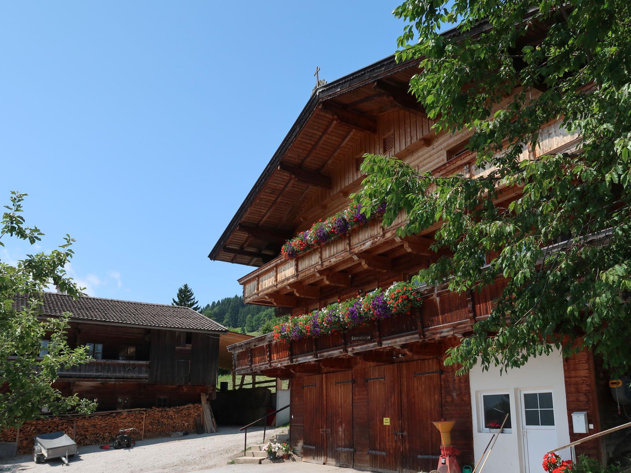 Photo 20 - Appartement de 2 chambres à Wildschönau avec jardin et vues sur la montagne