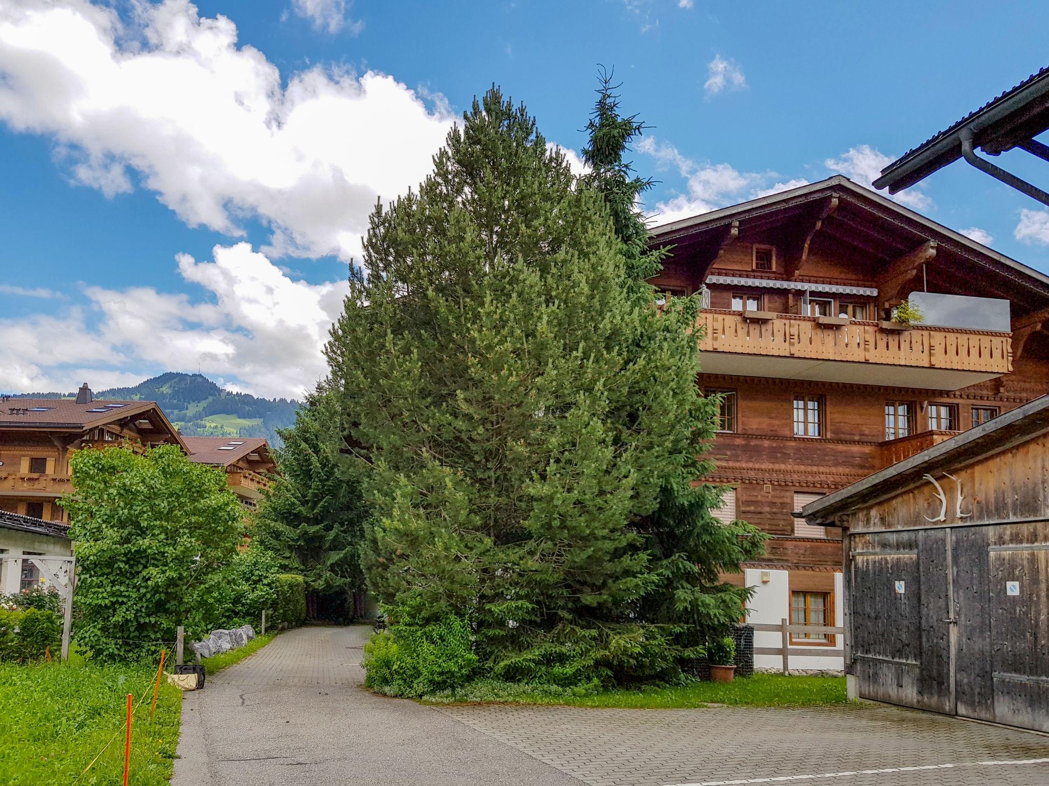 Photo 1 - 5 bedroom Apartment in Saanen with terrace and mountain view