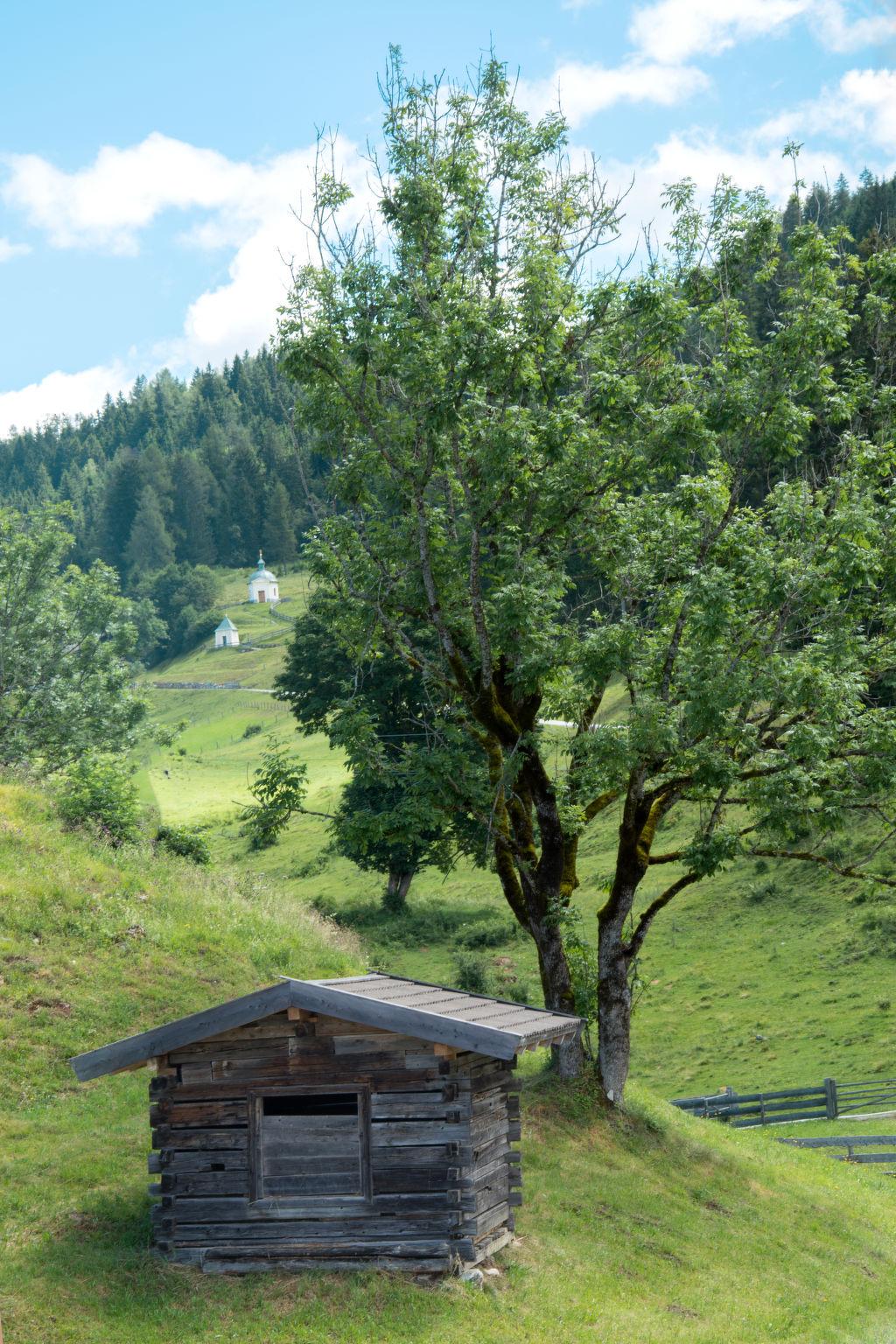 Photo 26 - Maison de 2 chambres à Lend avec terrasse et vues sur la montagne