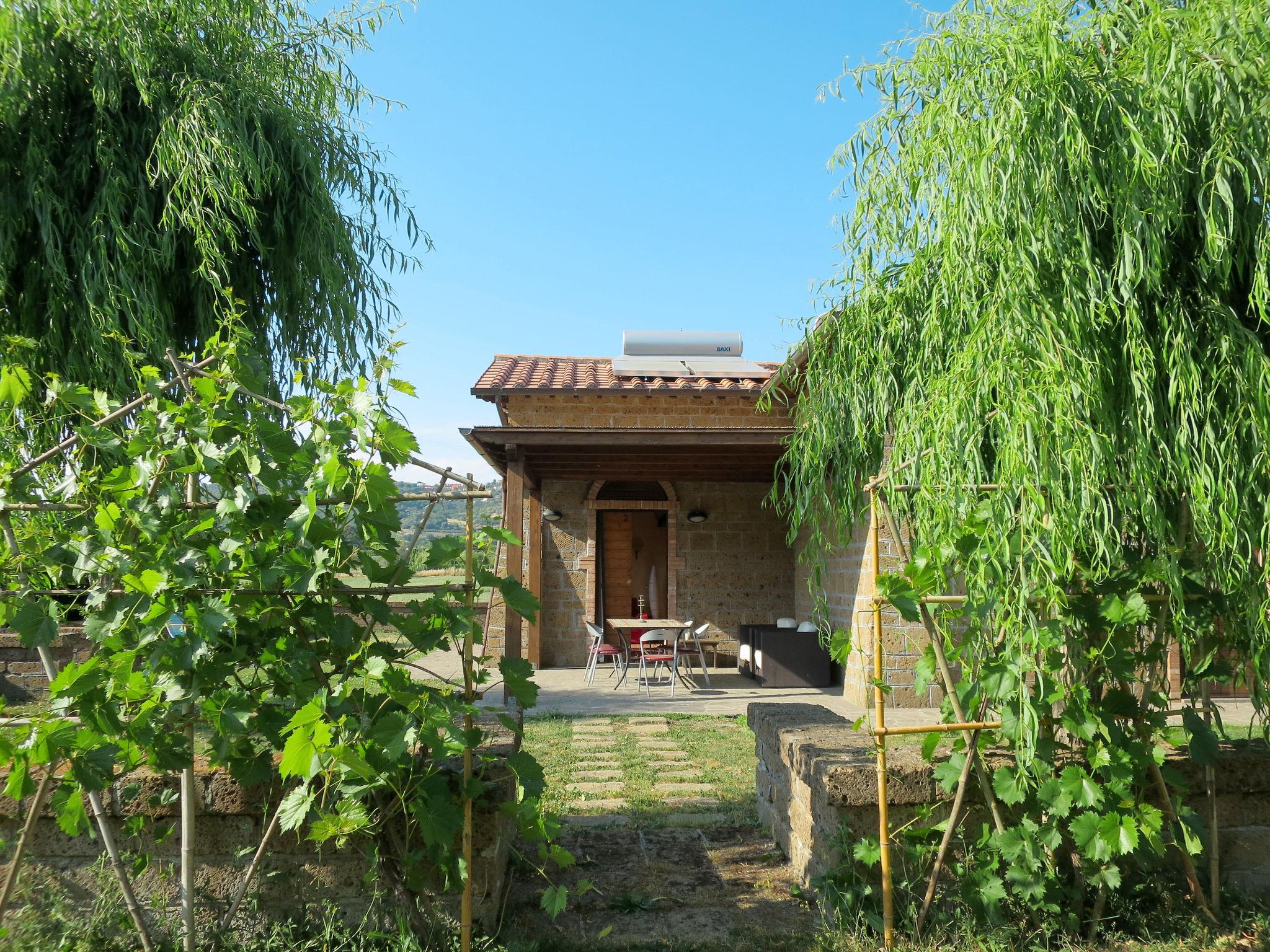 Foto 7 - Appartamento con 3 camere da letto a Montefiascone con piscina e giardino