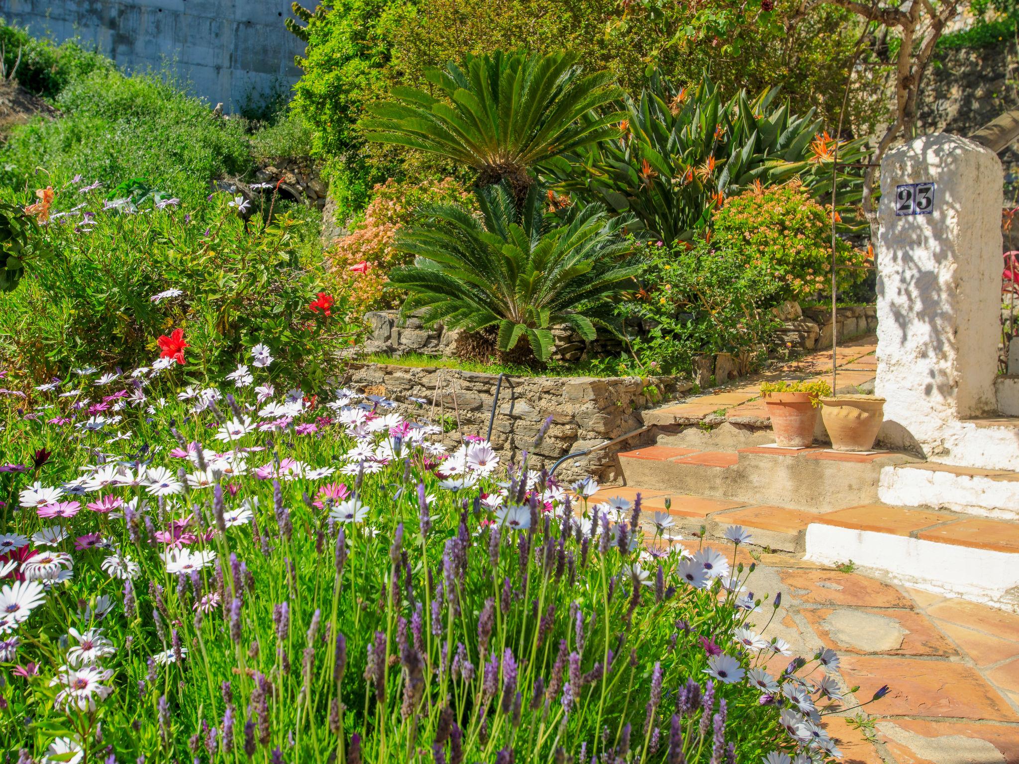 Photo 3 - Maison de 3 chambres à Salobreña avec jardin et vues à la mer