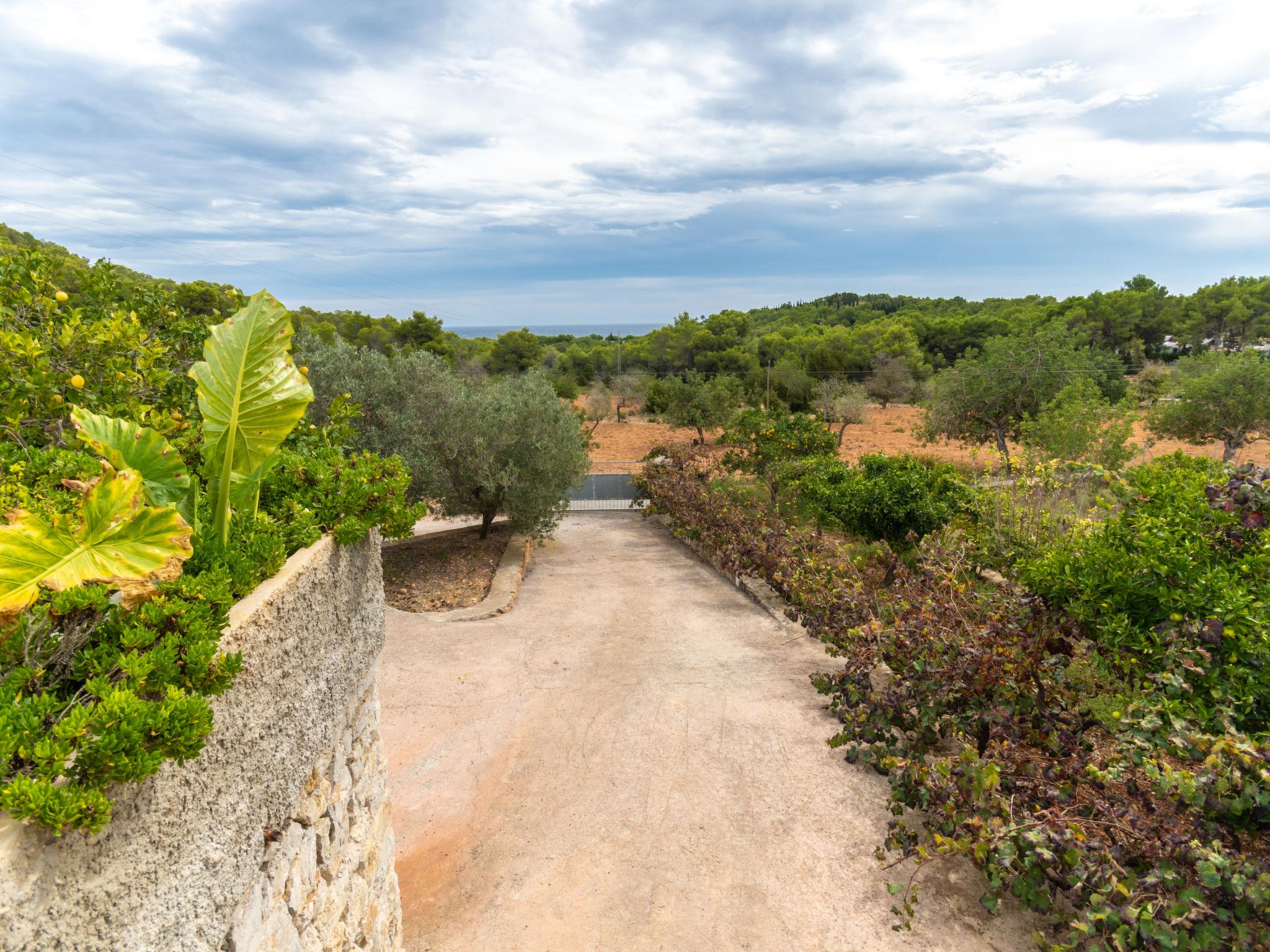 Photo 34 - Maison de 3 chambres à Santa Eulària des Riu avec piscine privée et jardin