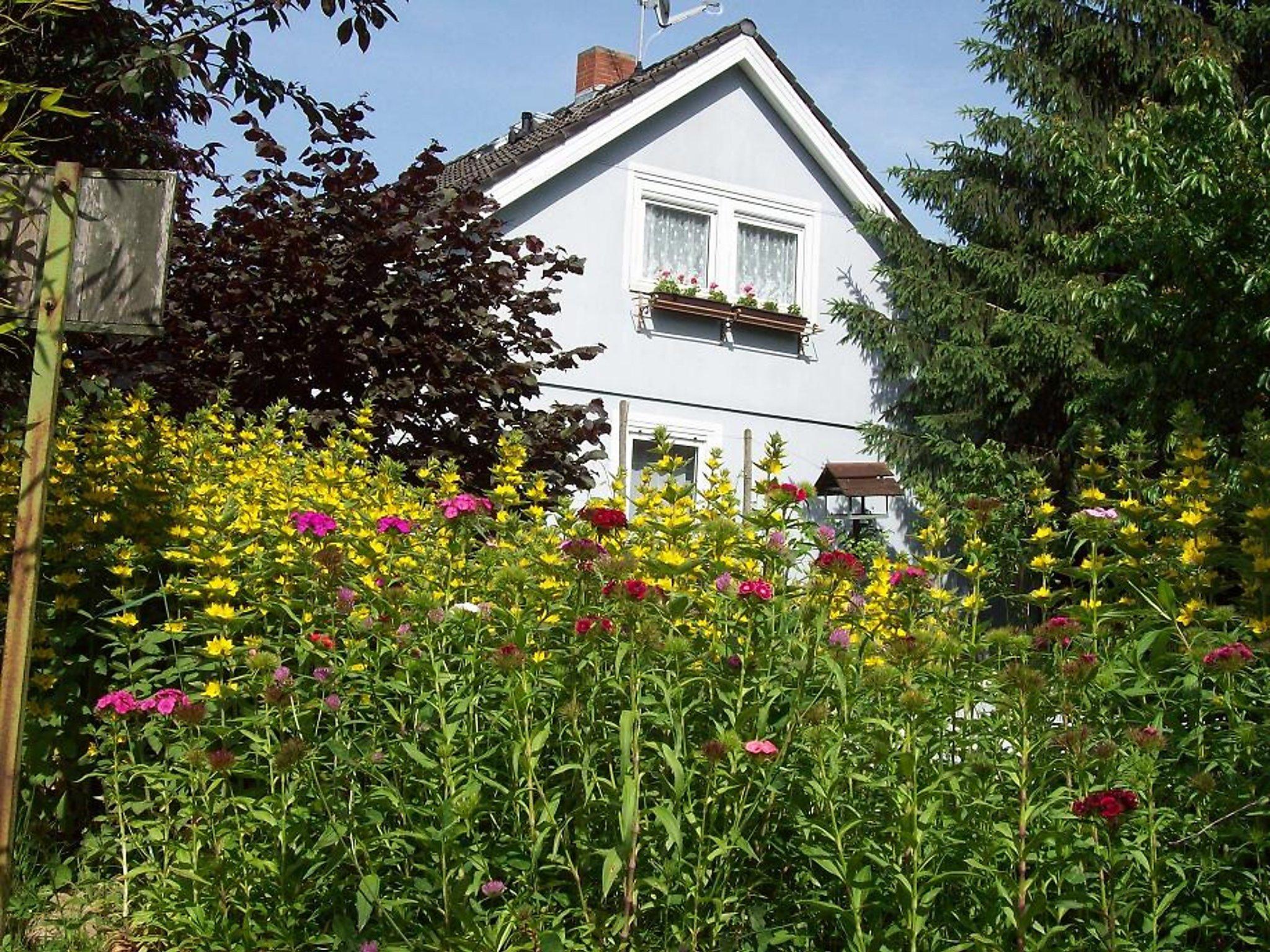 Photo 10 - Appartement en Vogtsburg im Kaiserstuhl avec jardin et terrasse