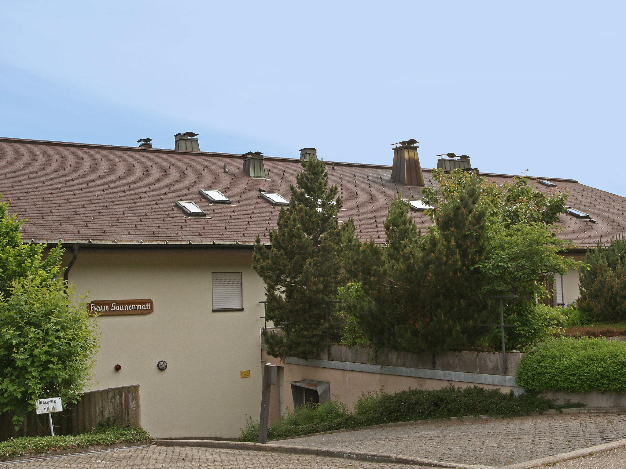 Foto 14 - Apartment mit 1 Schlafzimmer in Höchenschwand mit garten und blick auf die berge