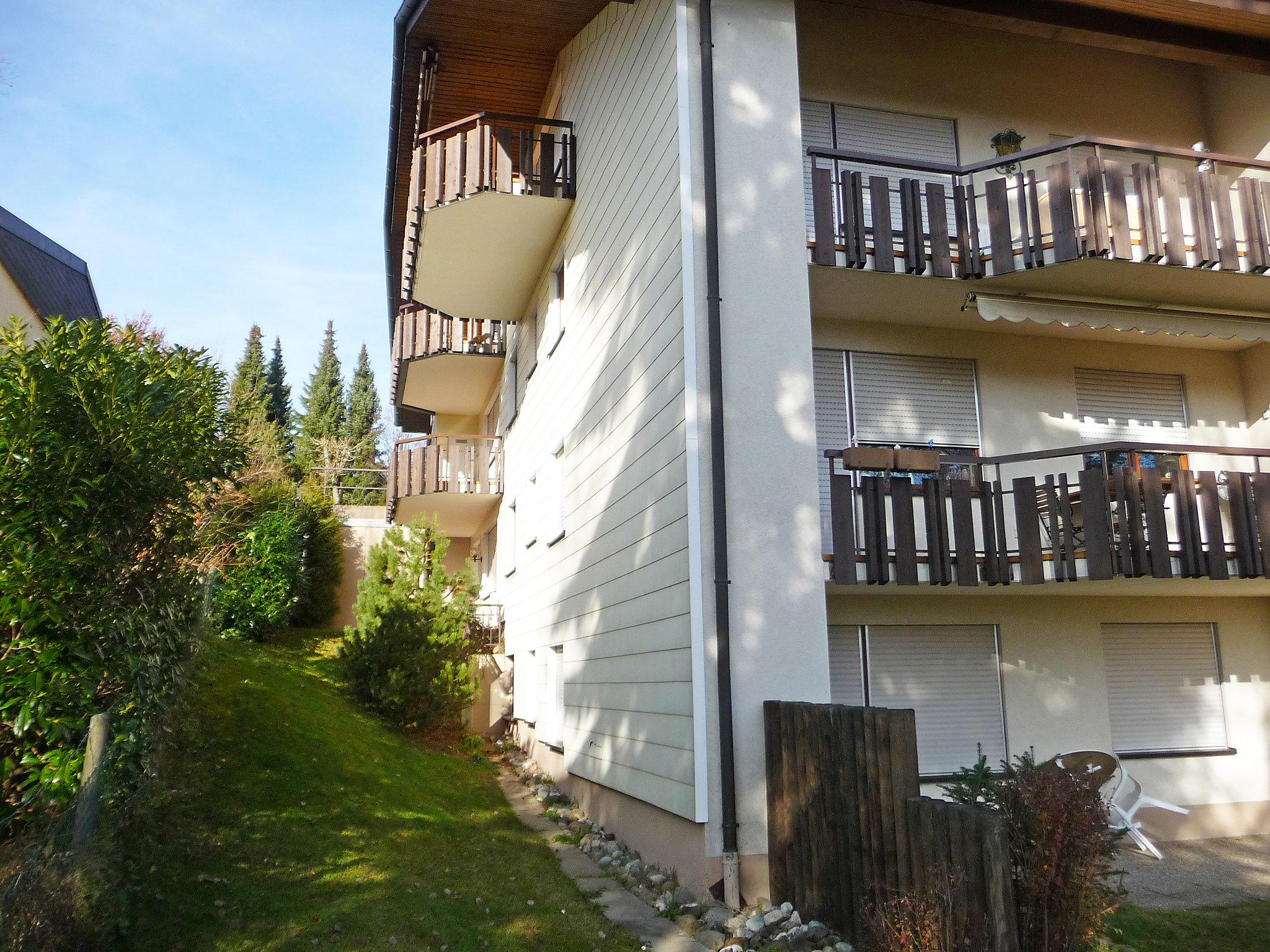 Foto 6 - Apartamento de 1 quarto em Höchenschwand com jardim e vista para a montanha