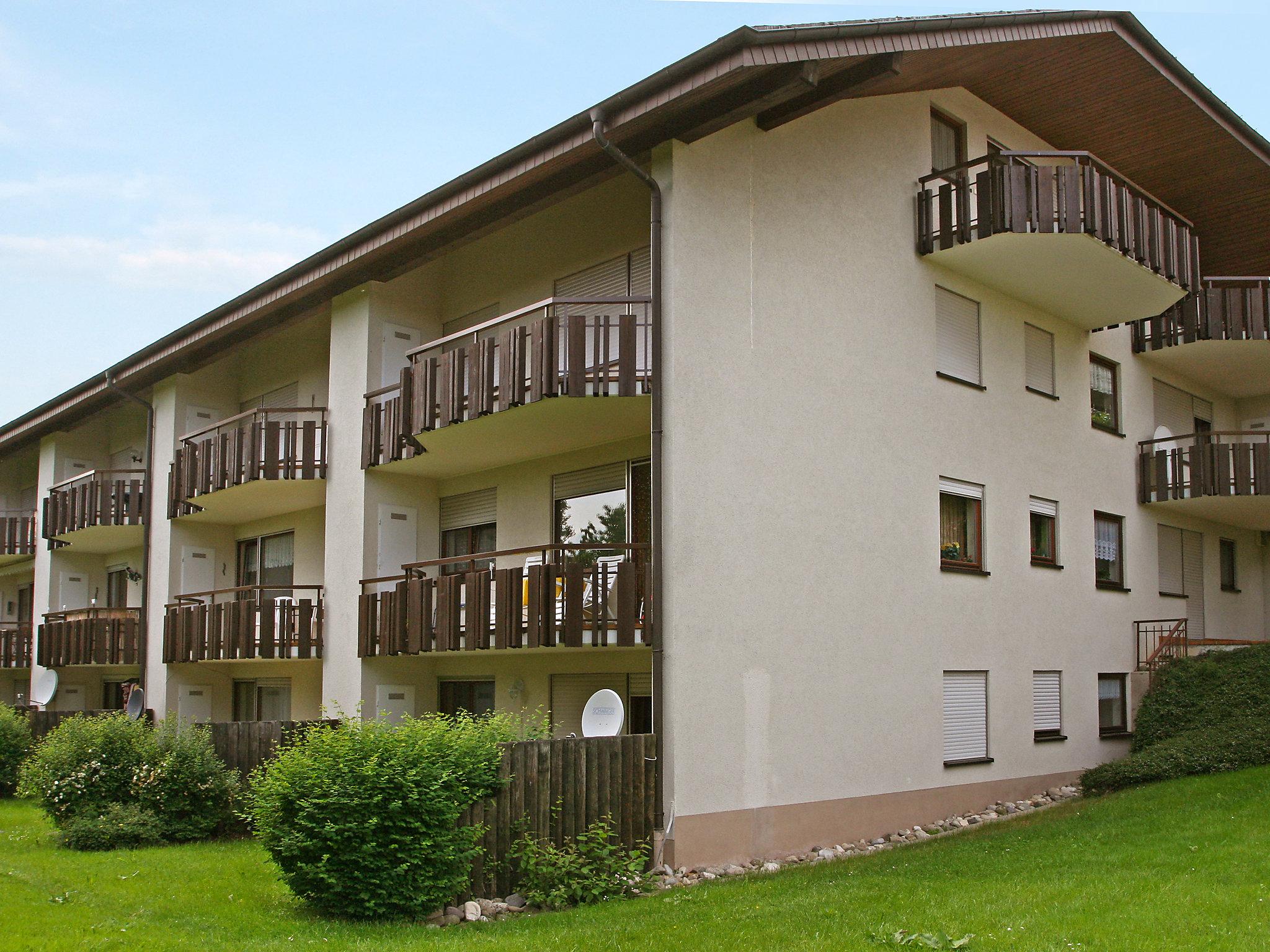 Foto 5 - Apartamento de 1 quarto em Höchenschwand com jardim e vista para a montanha