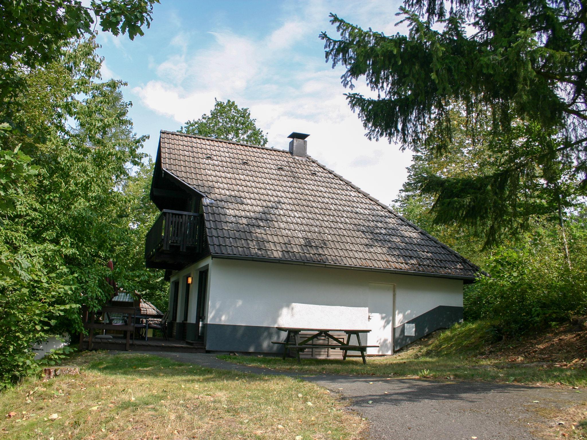 Foto 19 - Casa de 3 quartos em Frankenau com jardim e vista para a montanha