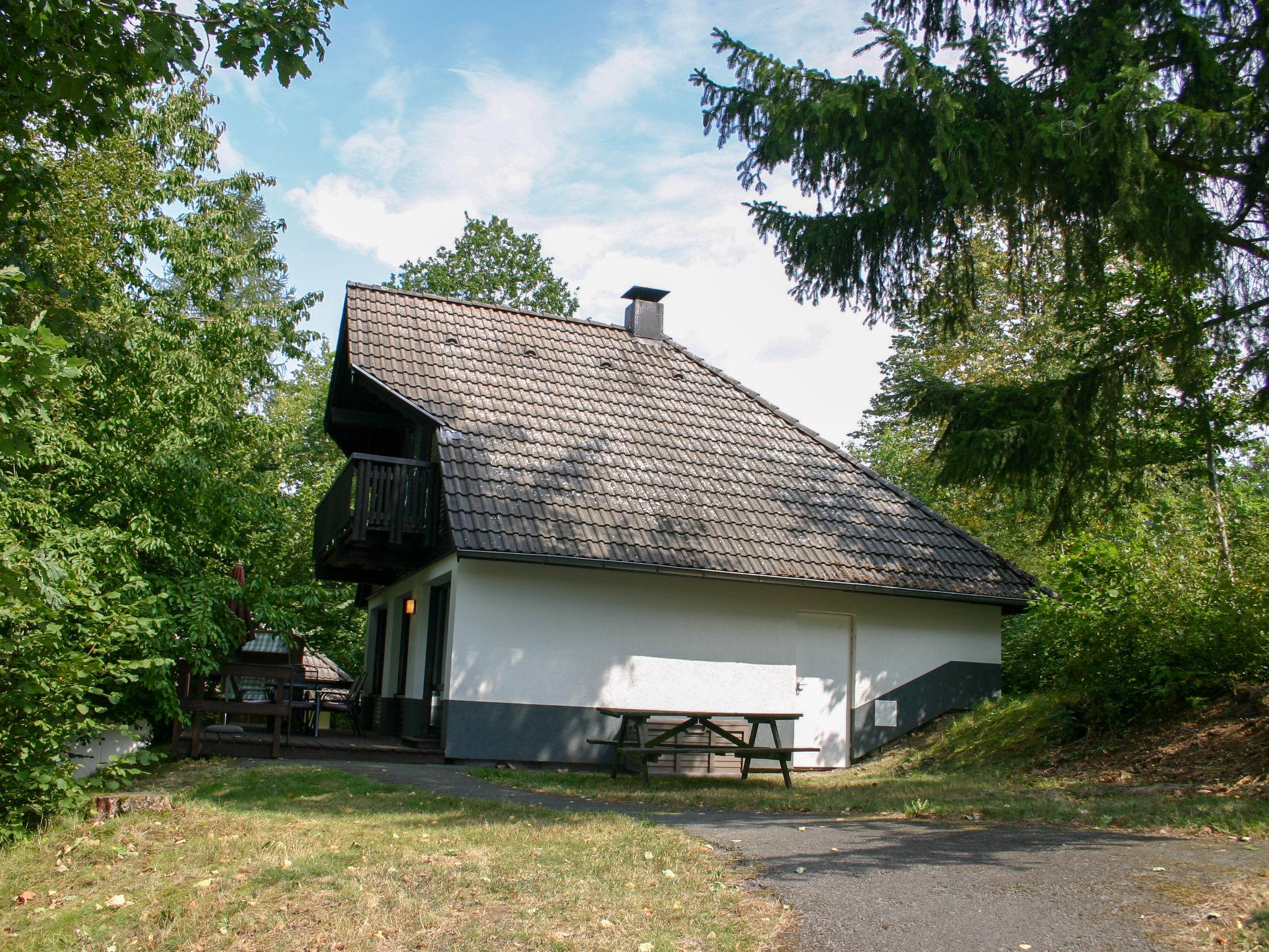 Foto 19 - Haus mit 3 Schlafzimmern in Frankenau mit garten und blick auf die berge