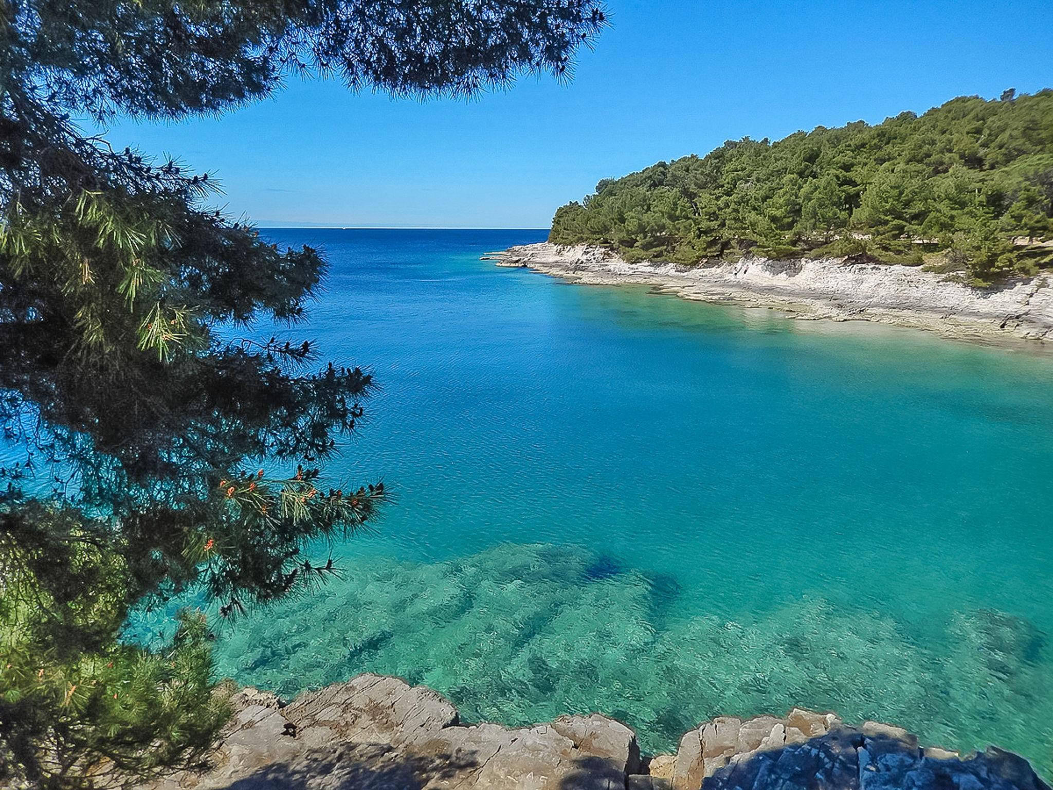 Foto 12 - Appartamento con 1 camera da letto a Pola con terrazza e vista mare