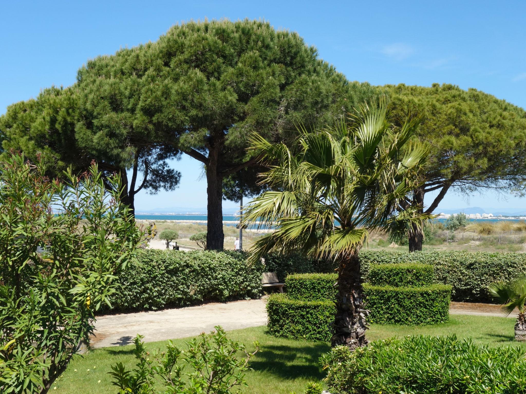 Foto 15 - Appartamento con 2 camere da letto a Le Grau-du-Roi con giardino e terrazza