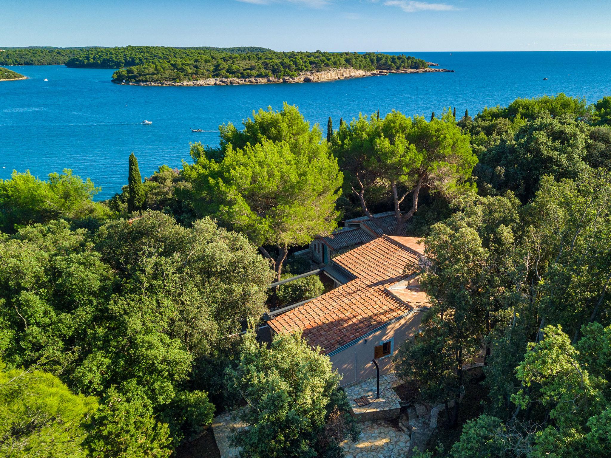 Foto 1 - Casa de 6 quartos em Pula com piscina privada e vistas do mar