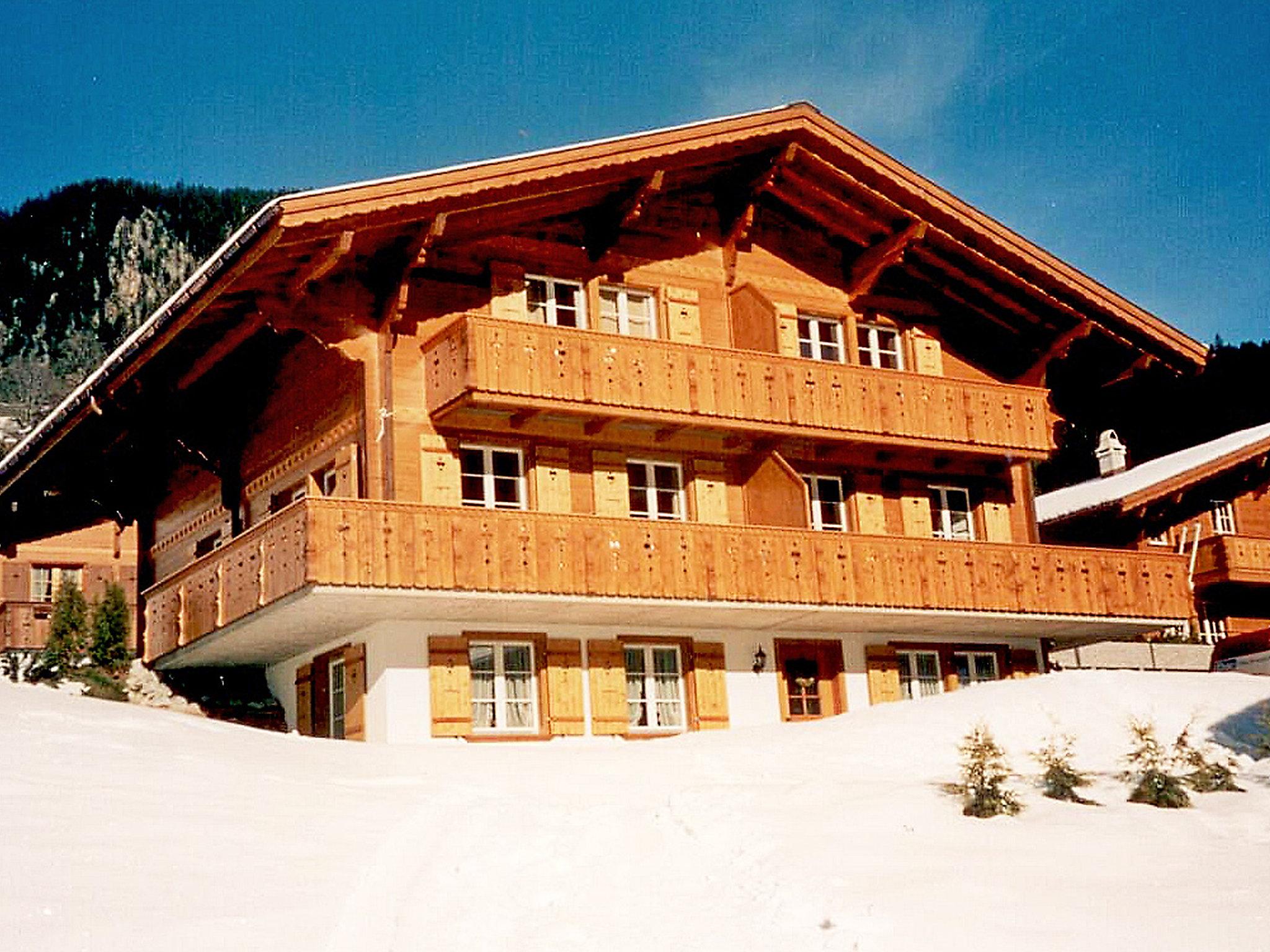 Foto 26 - Apartamento de 2 quartos em Grindelwald com jardim e terraço