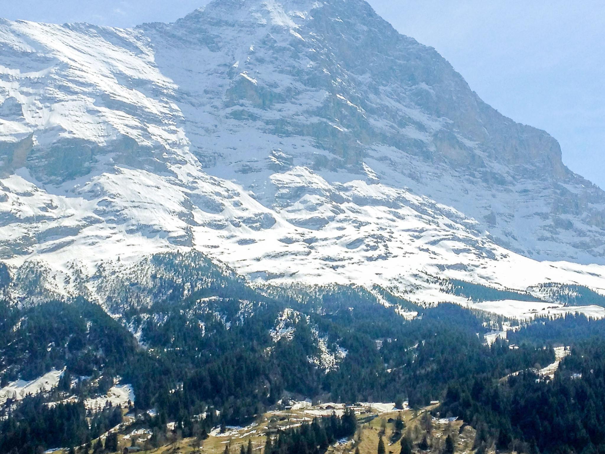 Photo 29 - 2 bedroom Apartment in Grindelwald with terrace and mountain view