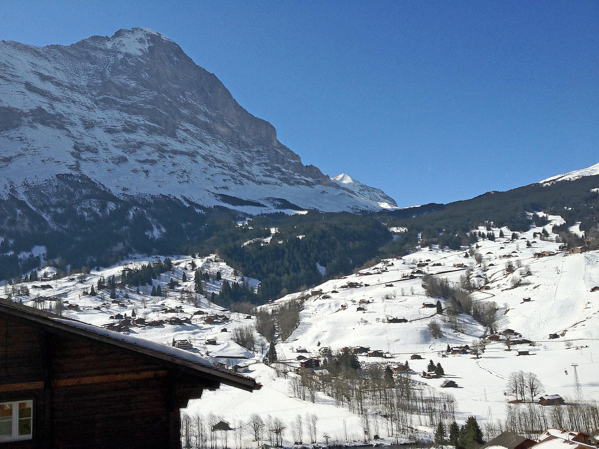 Foto 29 - Apartamento de 2 quartos em Grindelwald com jardim e terraço