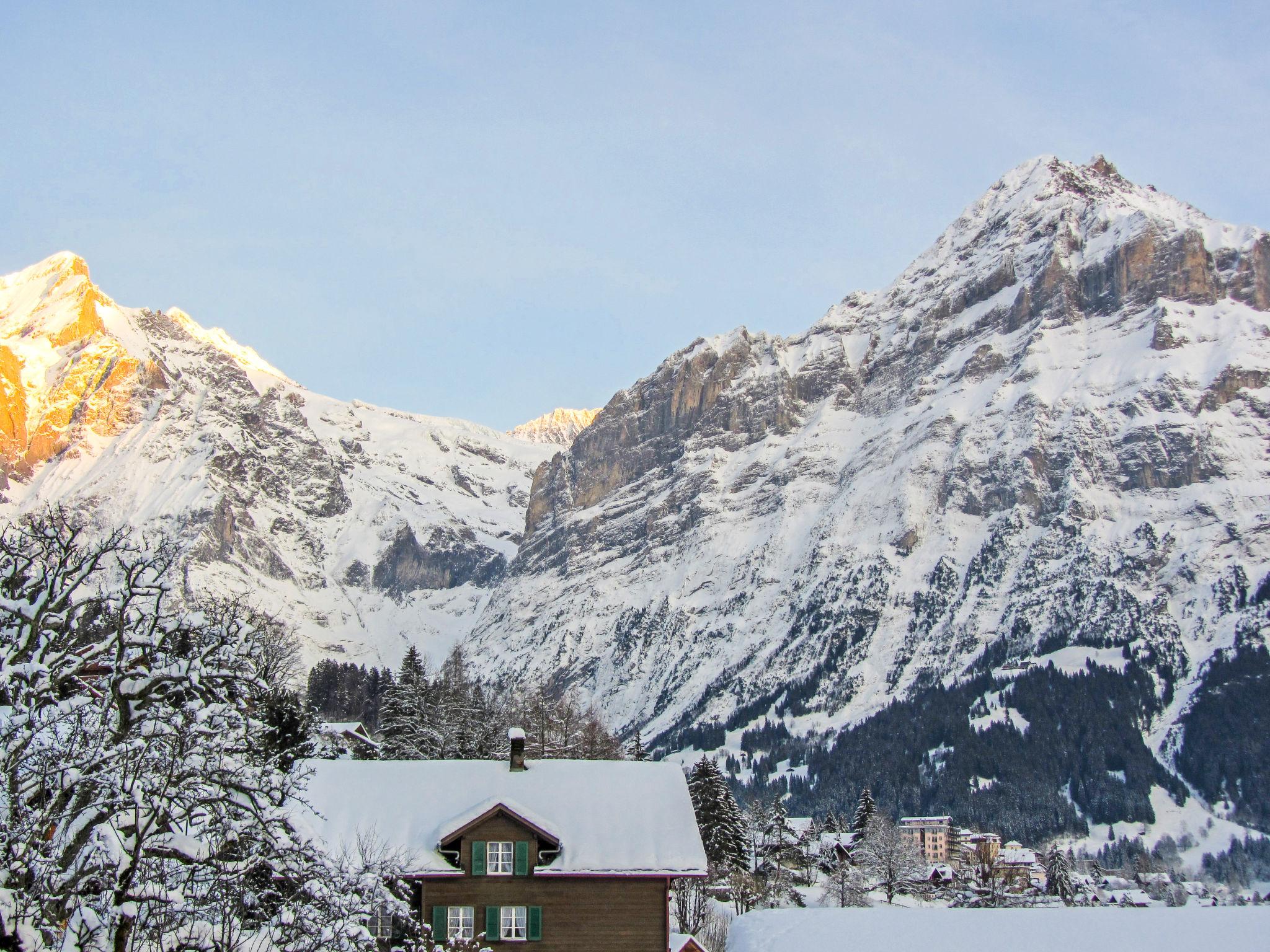 Foto 27 - Apartamento de 2 quartos em Grindelwald com jardim e terraço