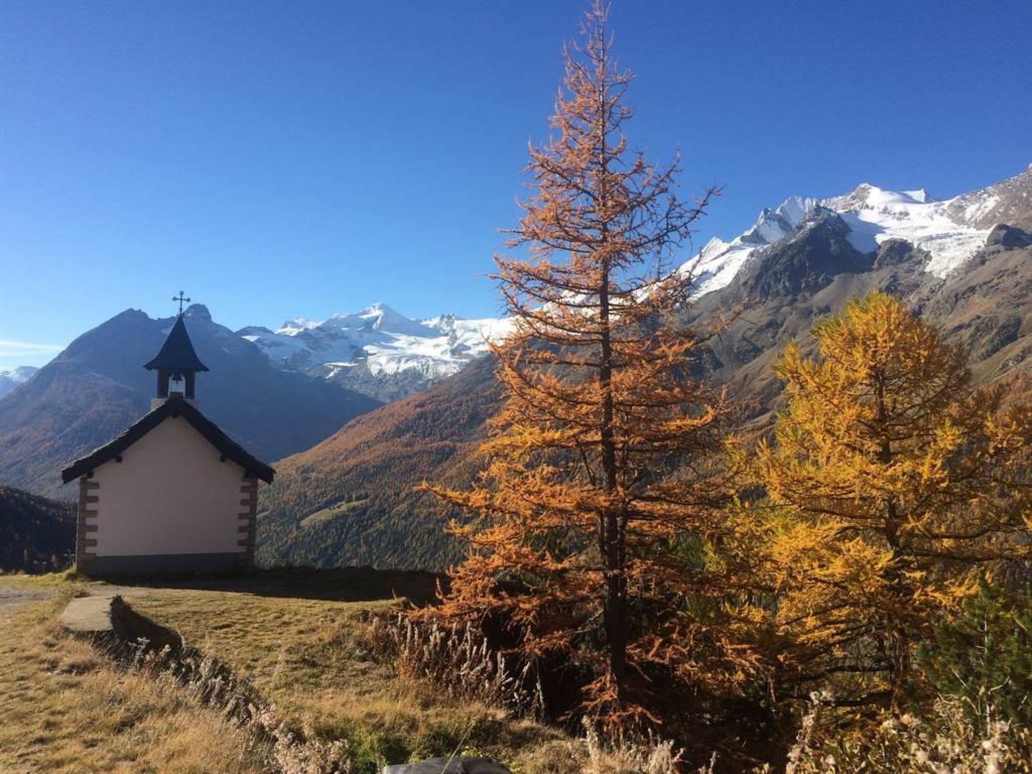 Photo 79 - 3 bedroom Apartment in Saas-Grund