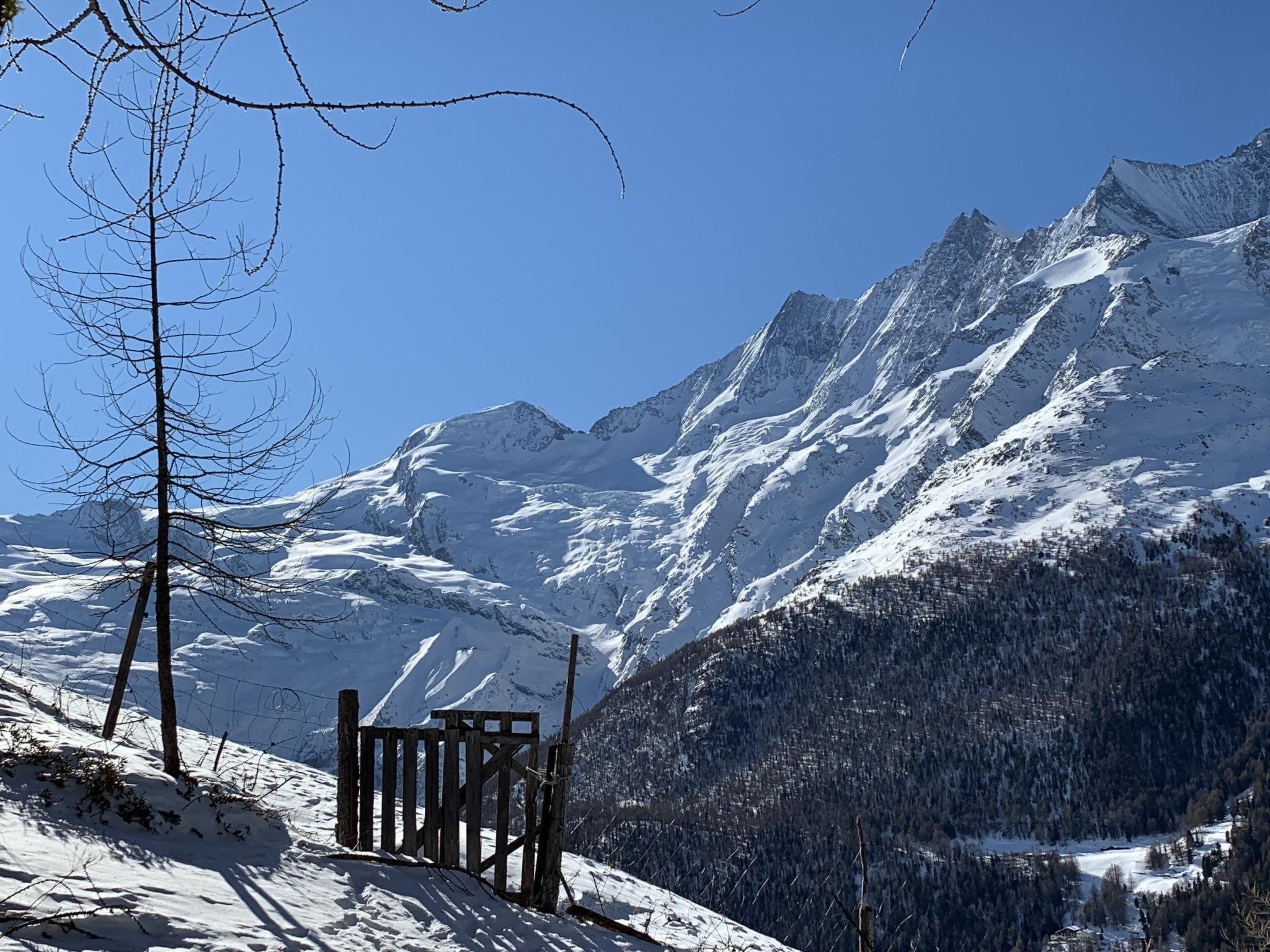 Foto 67 - Apartamento de 3 quartos em Saas-Grund