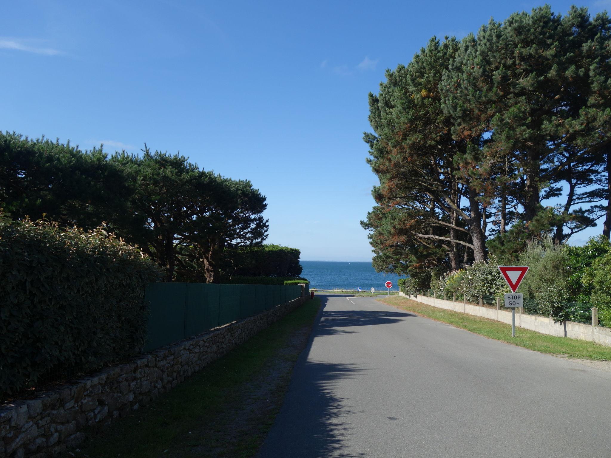 Photo 18 - Appartement en Saint-Philibert avec vues à la mer