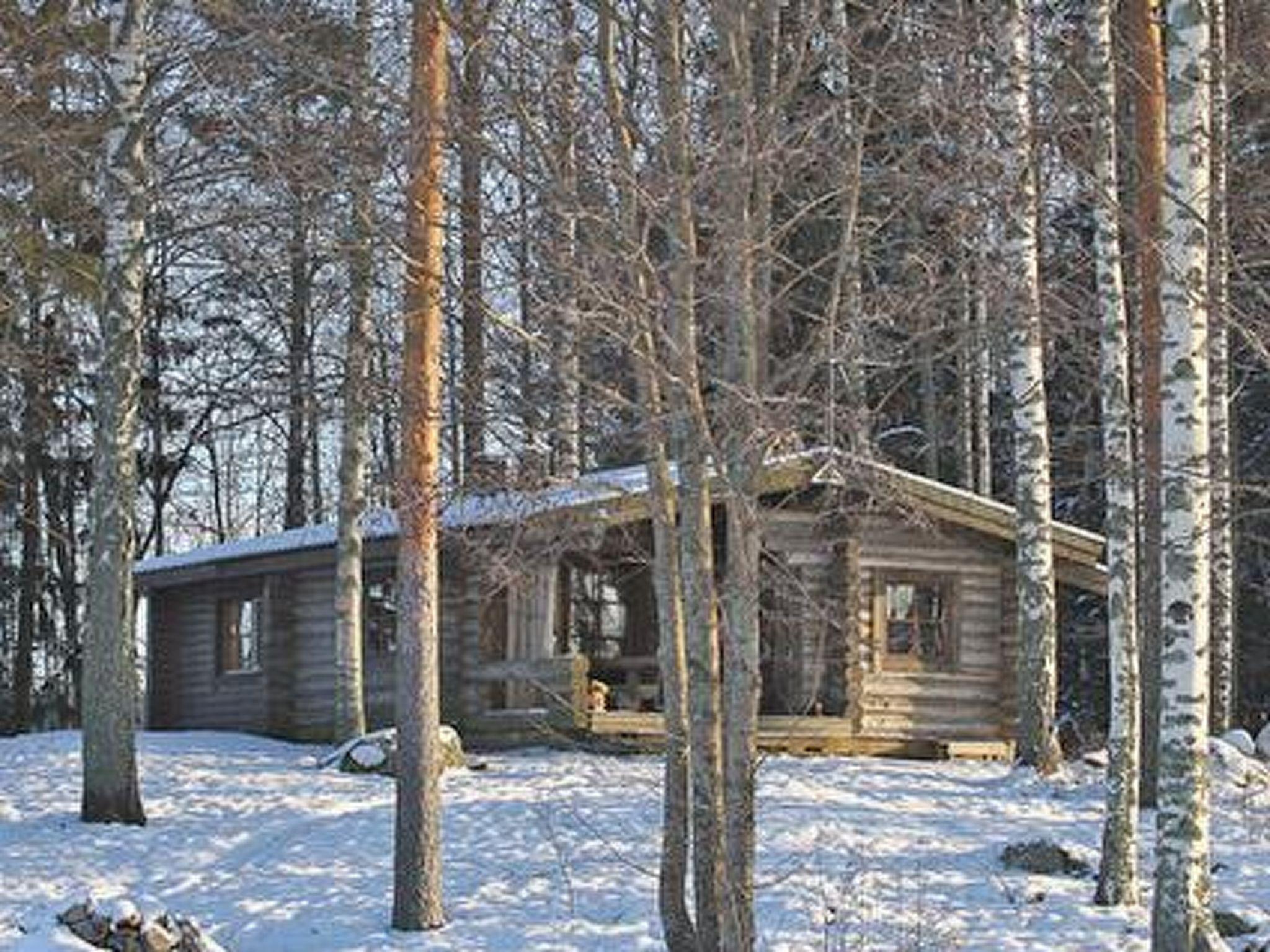 Photo 18 - Maison de 2 chambres à Asikkala avec sauna