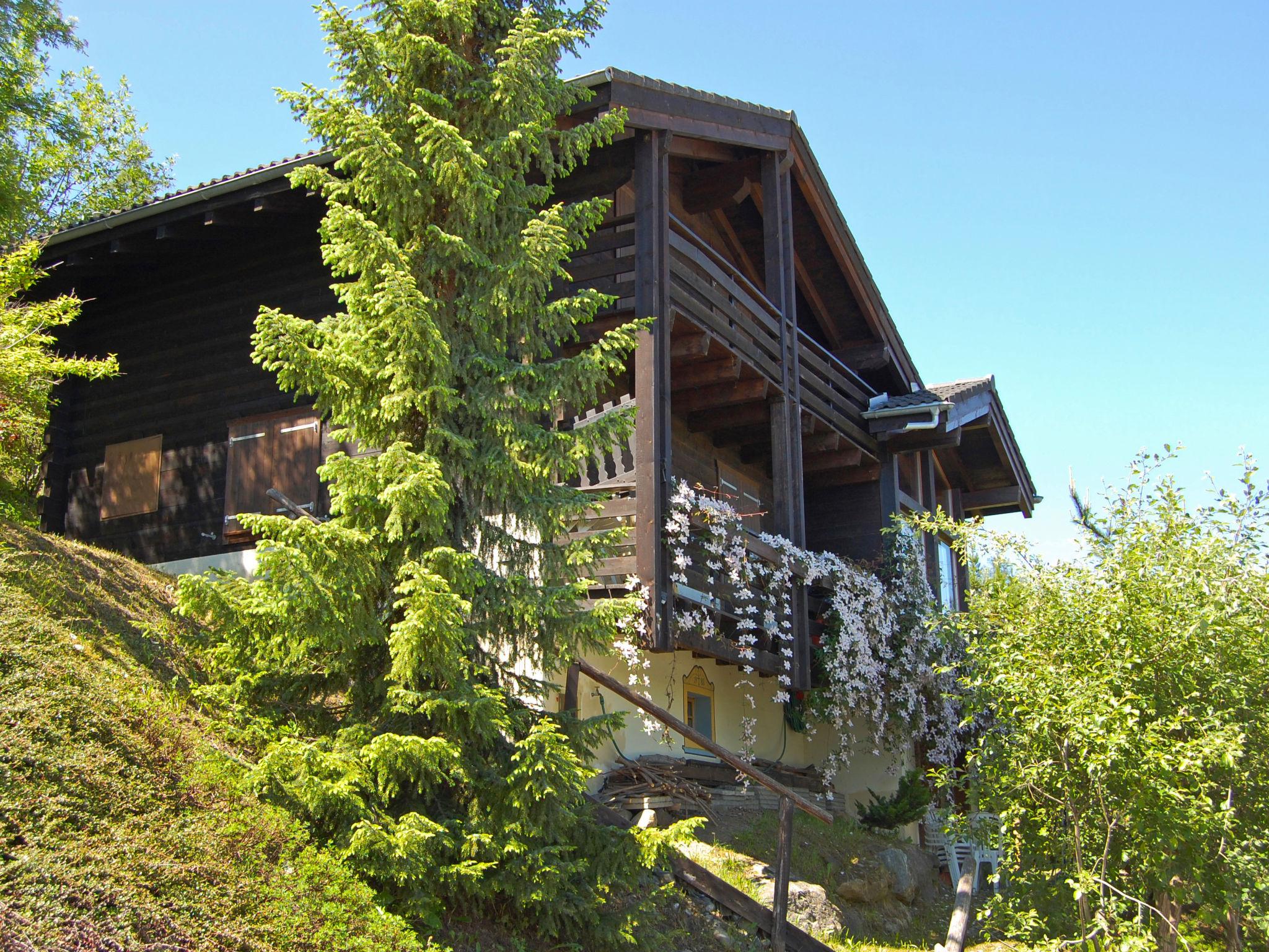 Foto 1 - Haus mit 3 Schlafzimmern in Nendaz mit terrasse und blick auf die berge