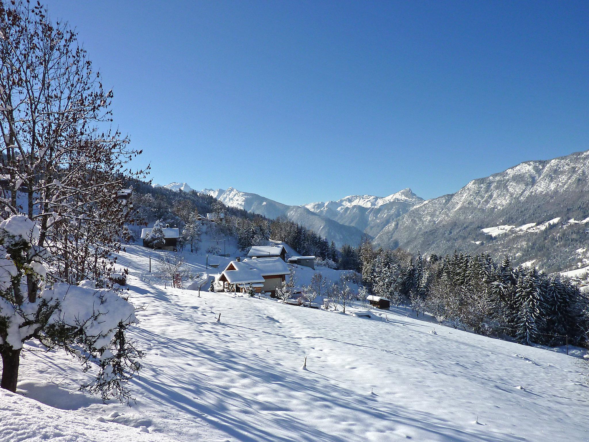 Foto 47 - Apartamento de 1 habitación en Les Villards-sur-Thônes con vistas a la montaña