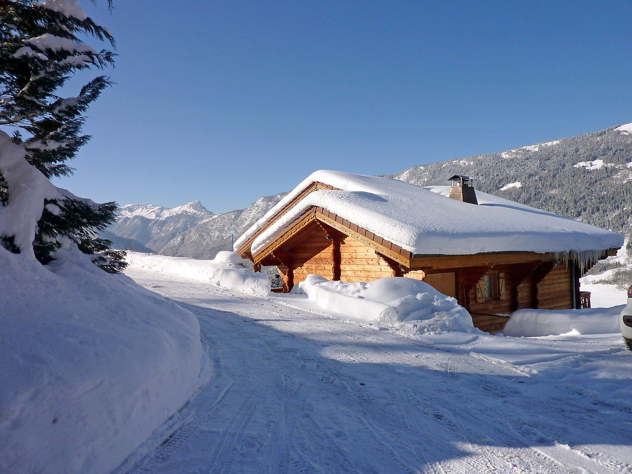 Foto 46 - Apartamento de 1 habitación en Les Villards-sur-Thônes con vistas a la montaña