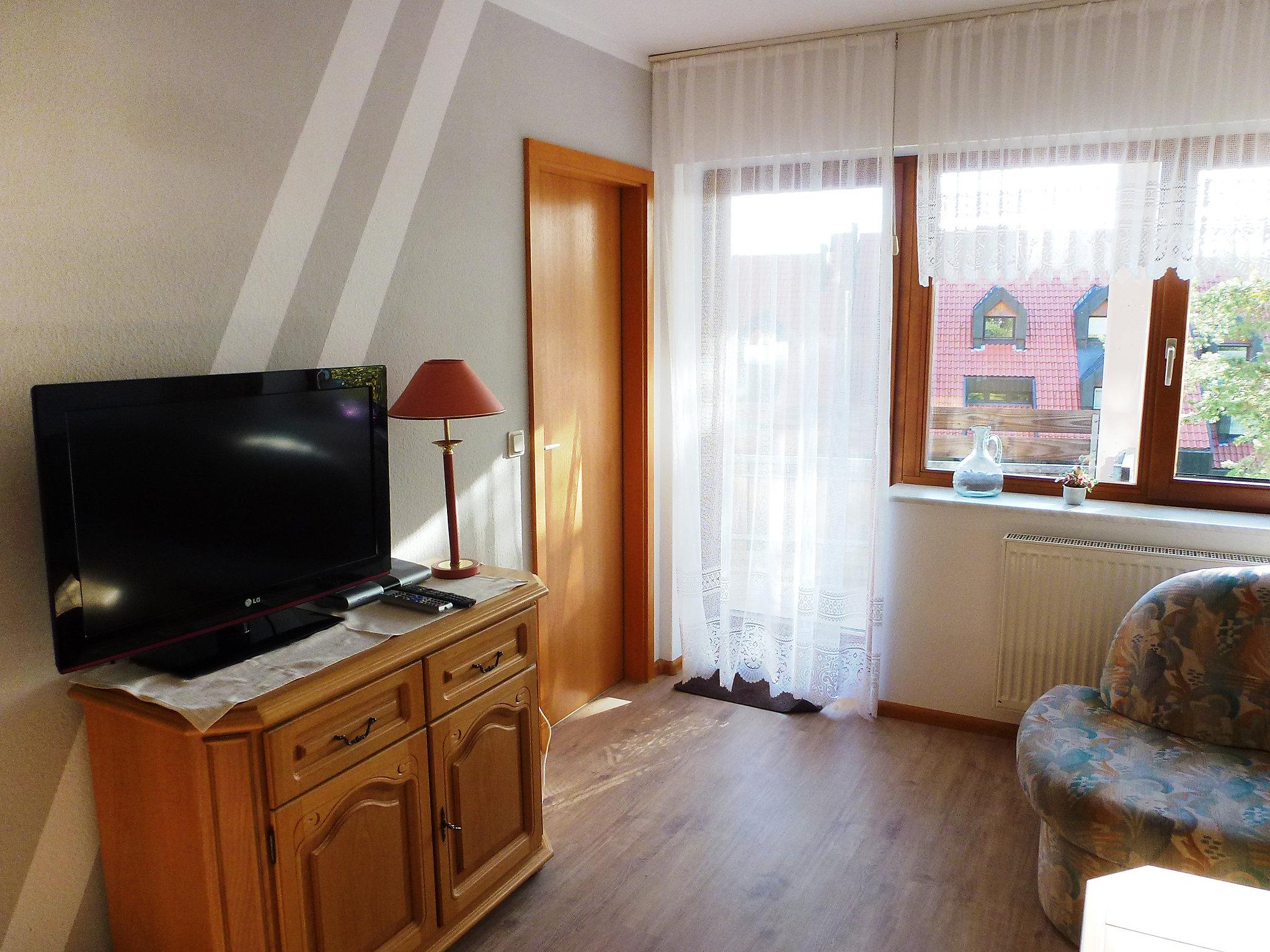 Foto 2 - Apartamento de 1 quarto em Schonach im Schwarzwald com jardim