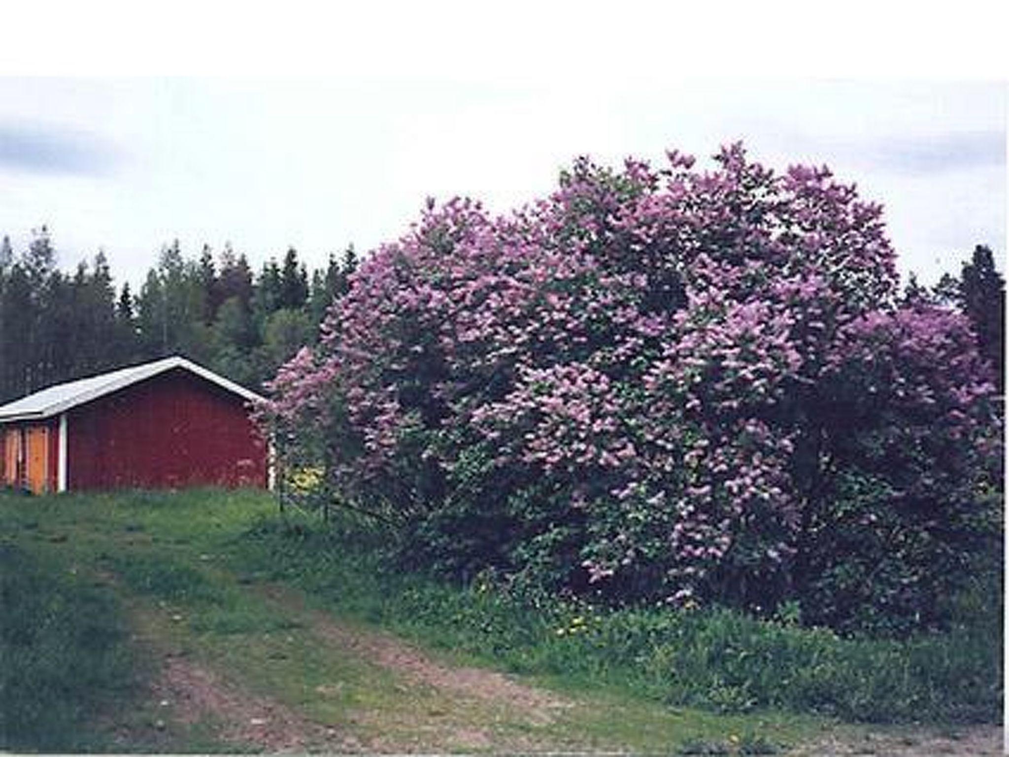Foto 31 - Casa con 4 camere da letto a Sysmä con sauna