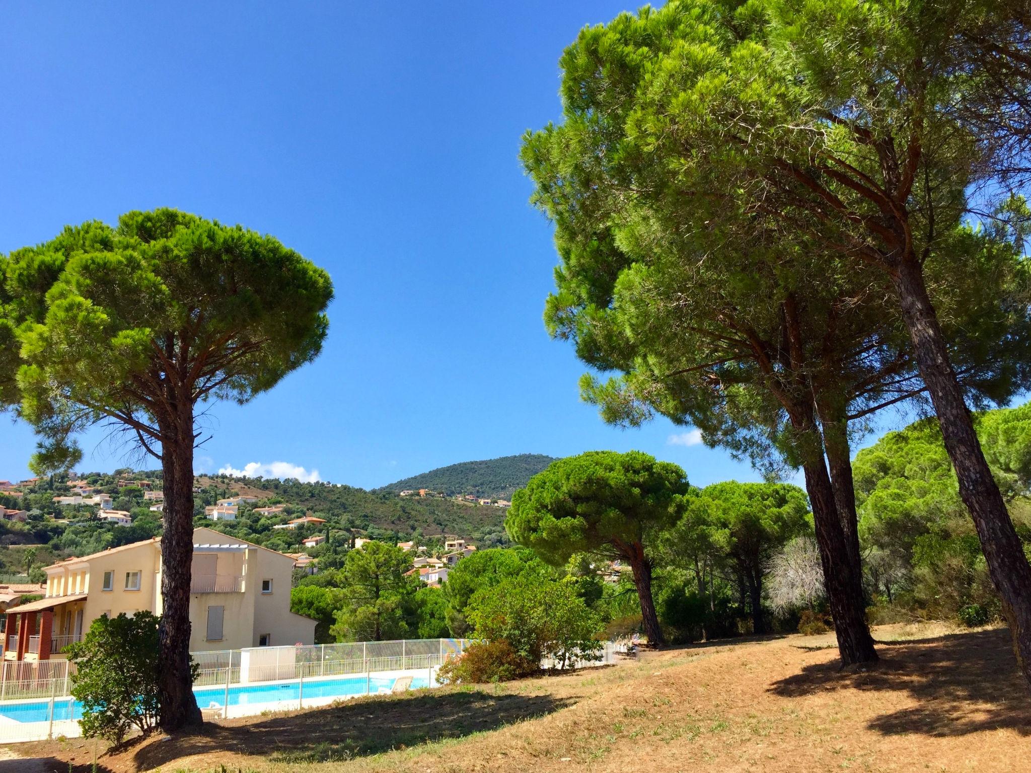 Foto 19 - Appartamento con 2 camere da letto a Roquebrune-sur-Argens con piscina e giardino