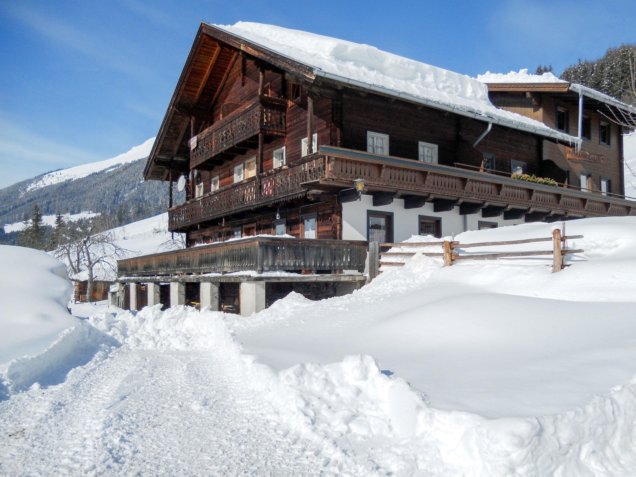 Photo 18 - Maison de 5 chambres à Neukirchen am Großvenediger avec jardin et vues sur la montagne