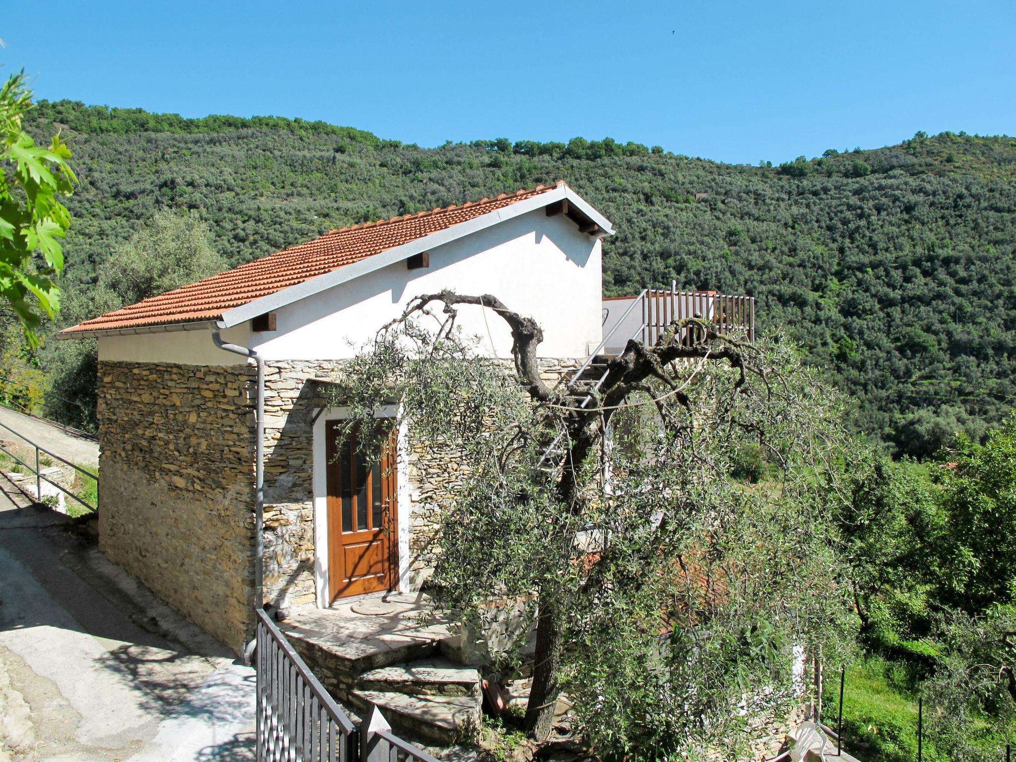 Photo 3 - Apartment in Dolcedo with swimming pool and garden